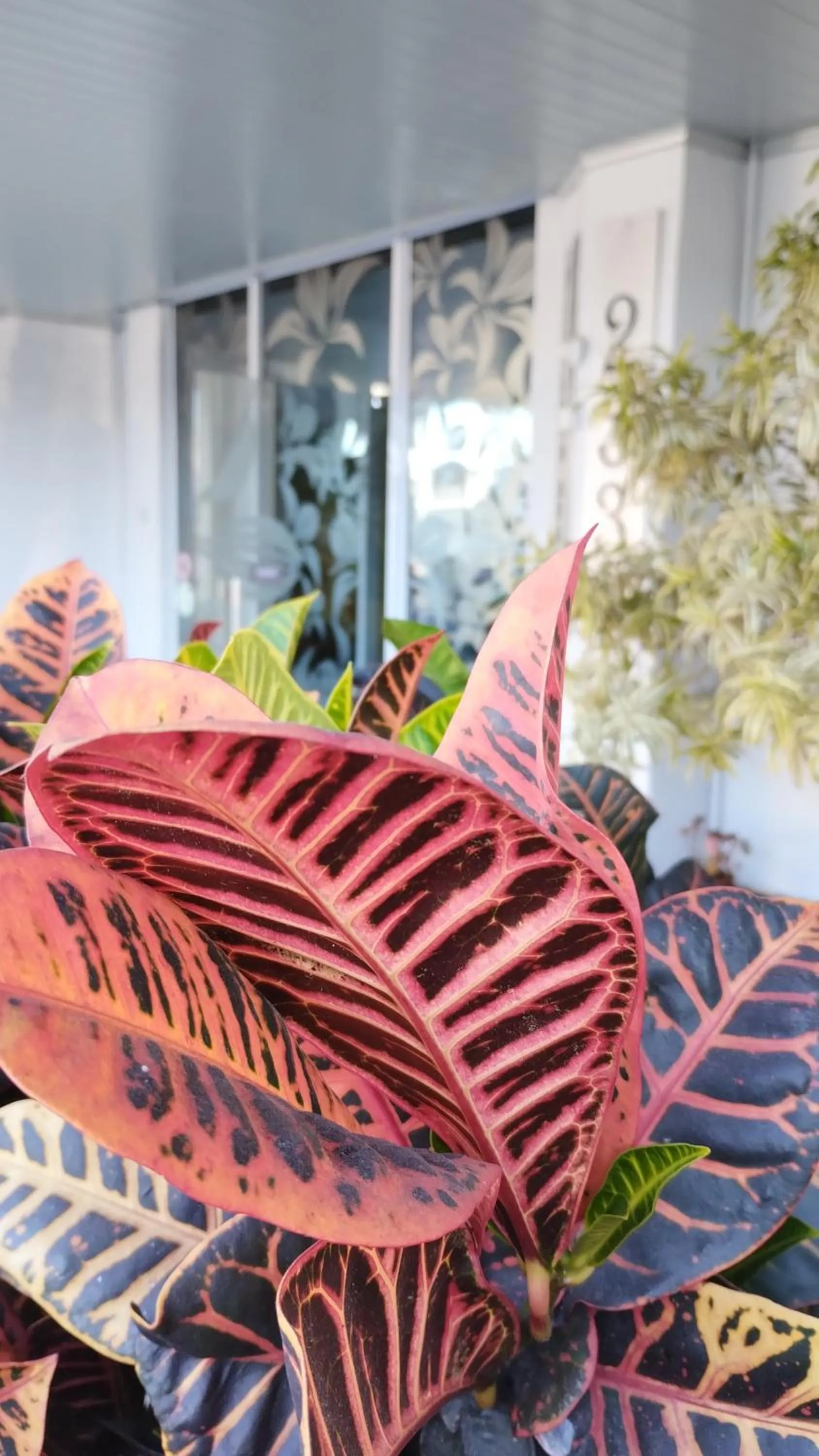 Facade/entrance in Germanias Blumen Hotel