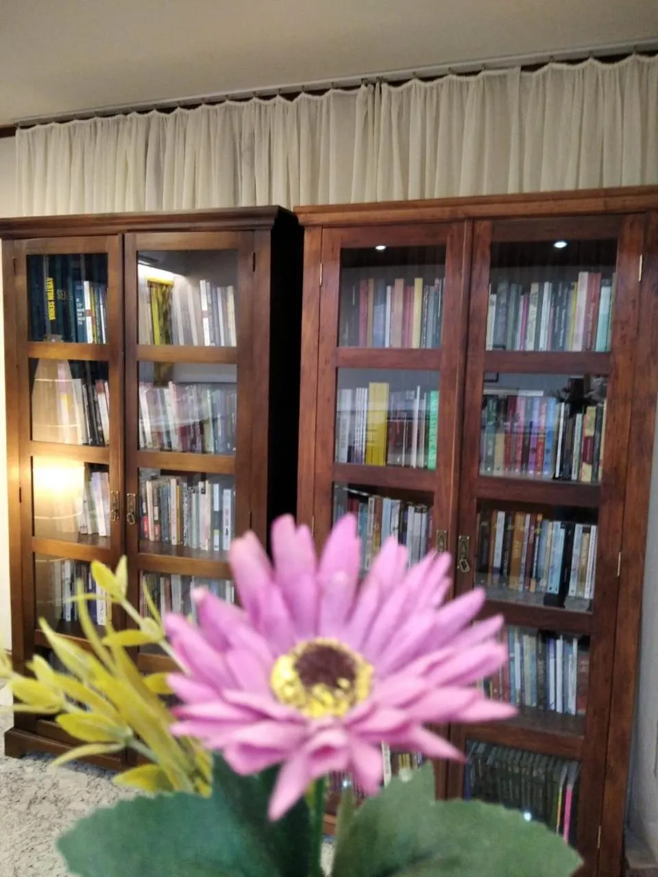 Library in Germanias Blumen Hotel