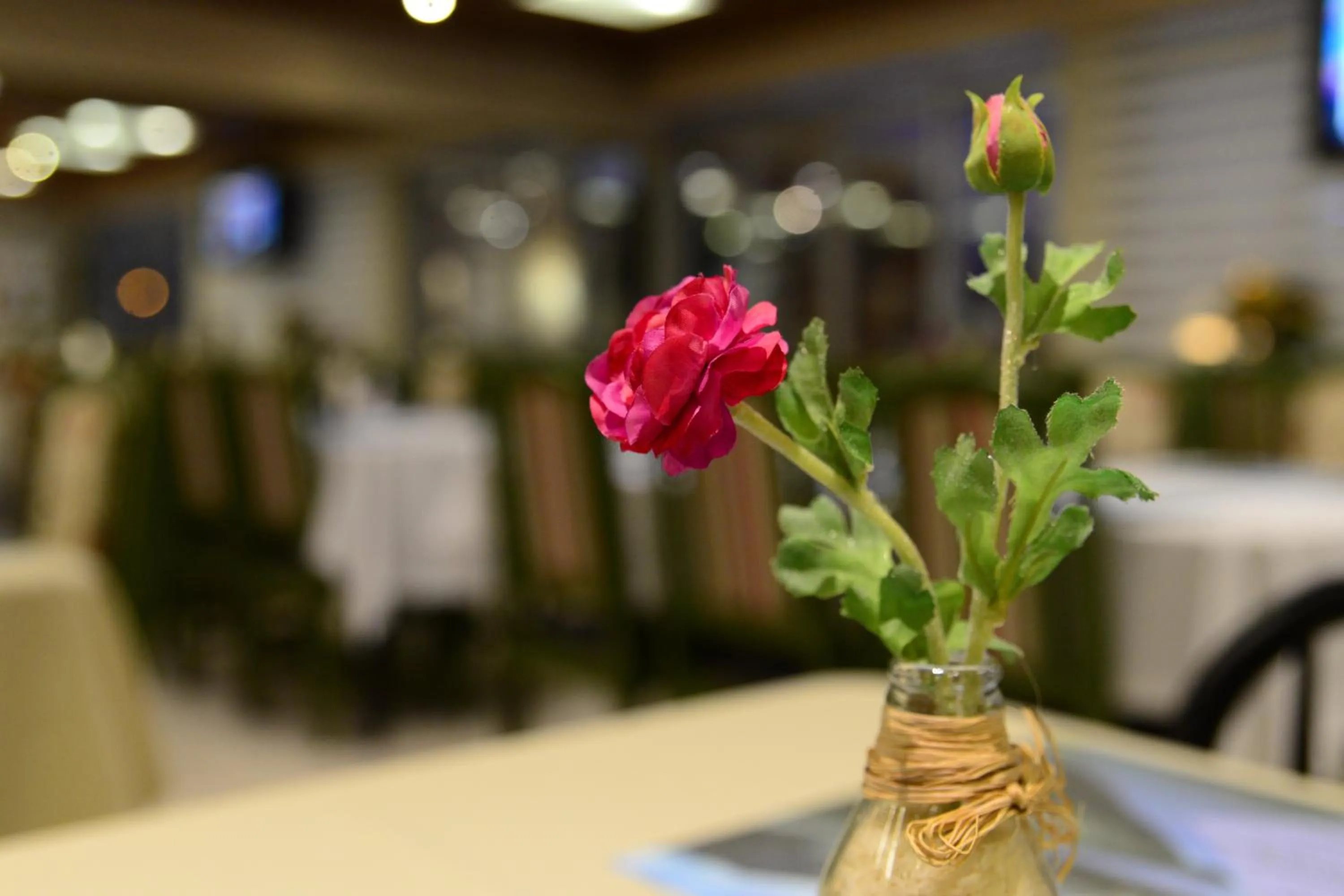 Banquet/Function facilities in Germanias Blumen Hotel