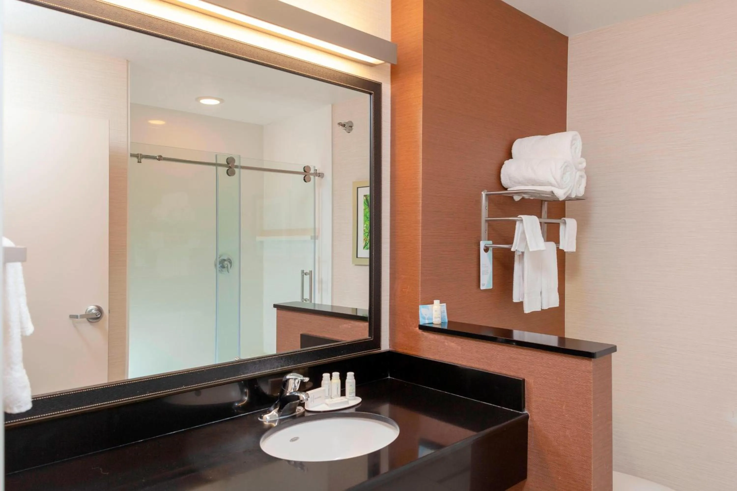 Bathroom in Fairfield Inn & Suites by Marriott Alamosa