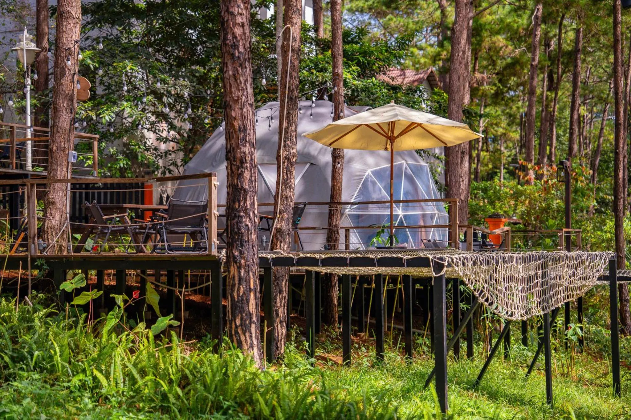 Photo of the whole room in De Vivre Homestay Măng Đen