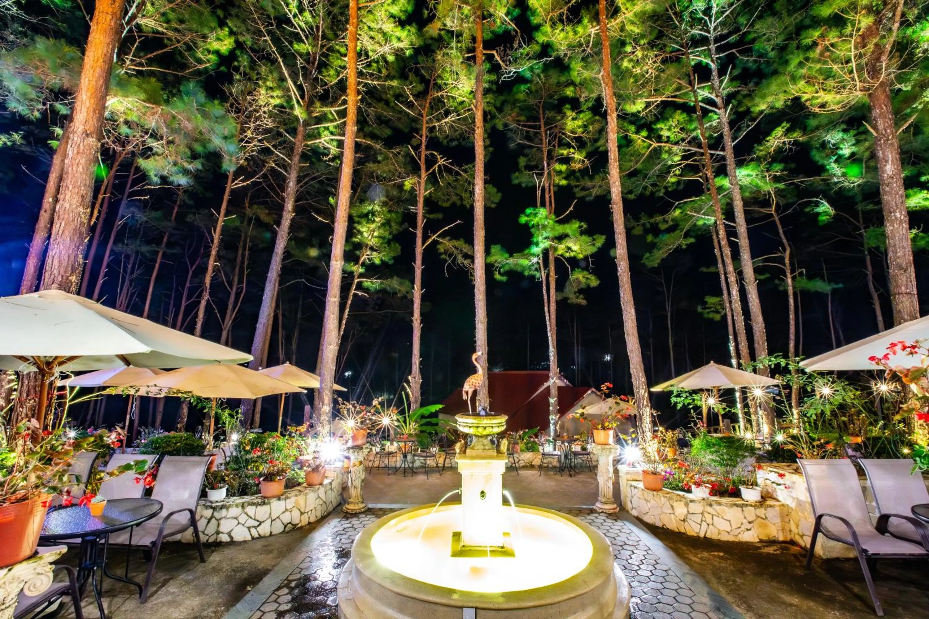 Patio in De Vivre Homestay Măng Đen