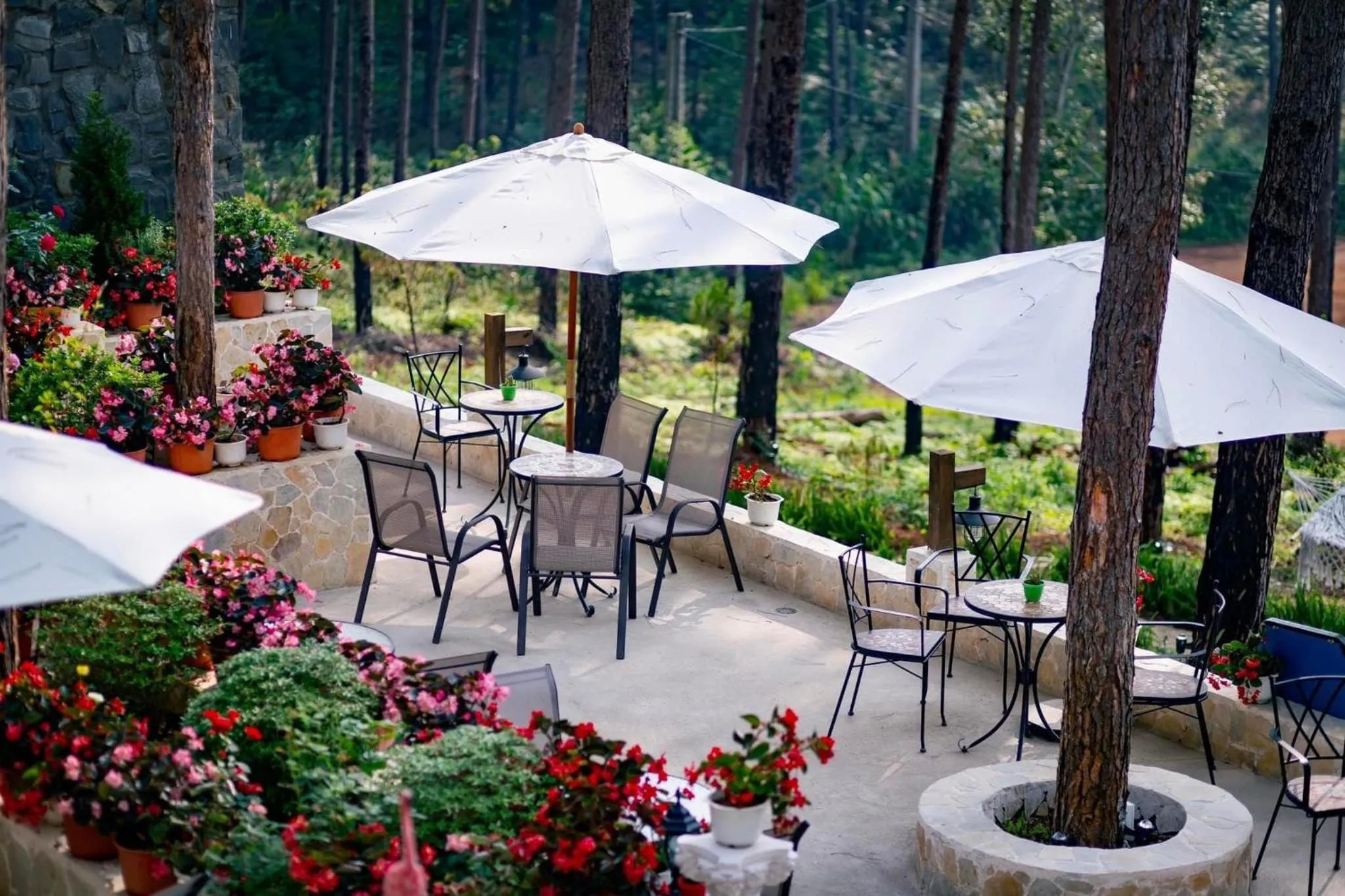 Garden in De Vivre Homestay Măng Đen