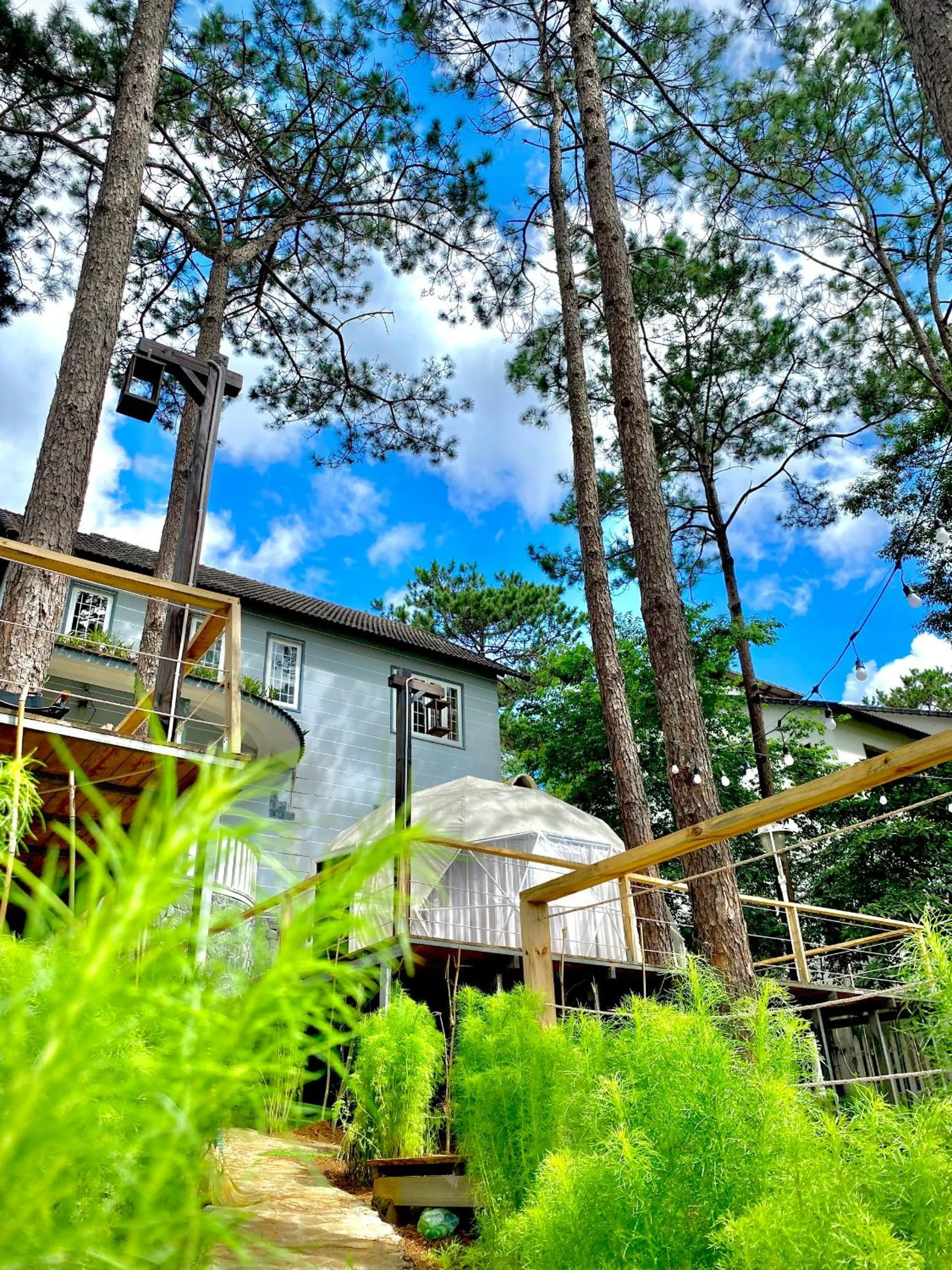 Spring in De Vivre Homestay Măng Đen