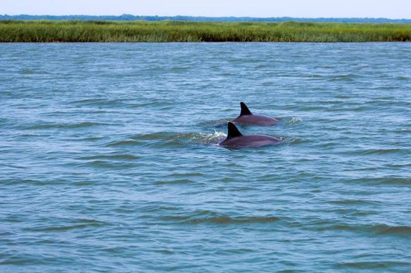 Other in 694 Bonito Rd-Sandy Palms