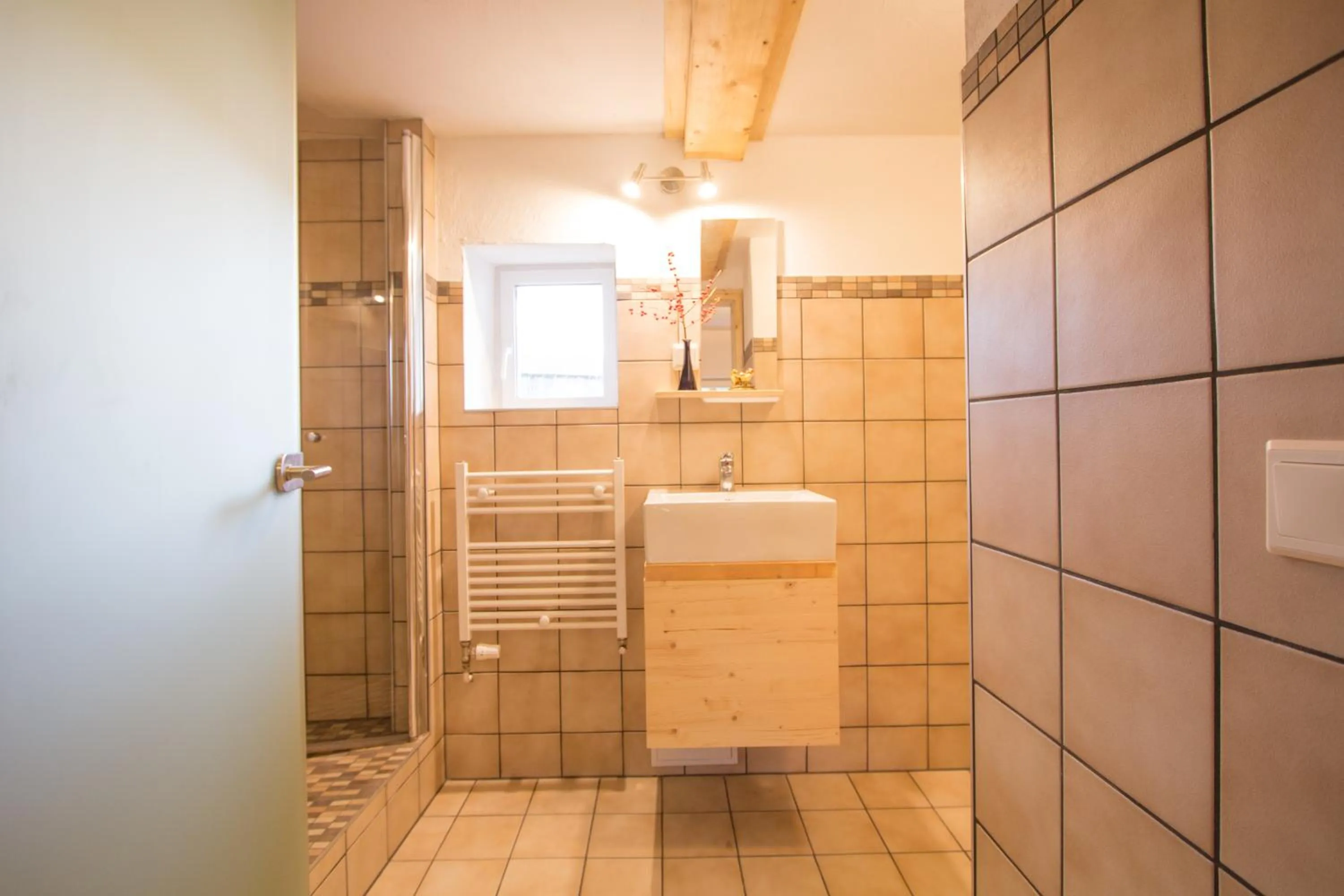 Shower in Aparthotel & Seminarhaus Wolkentor