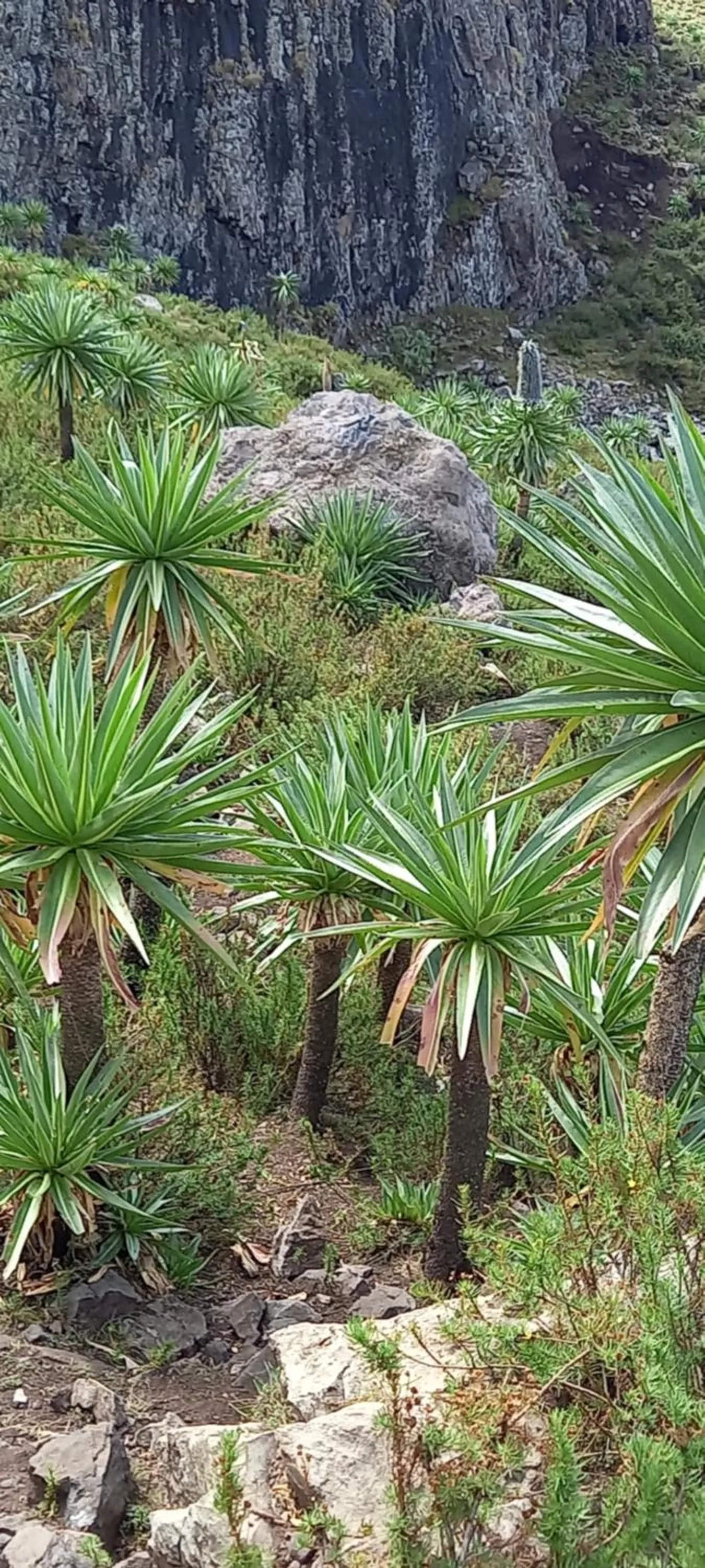 Nearby landmark in Zan-Seyoum Hotel - Lalibela