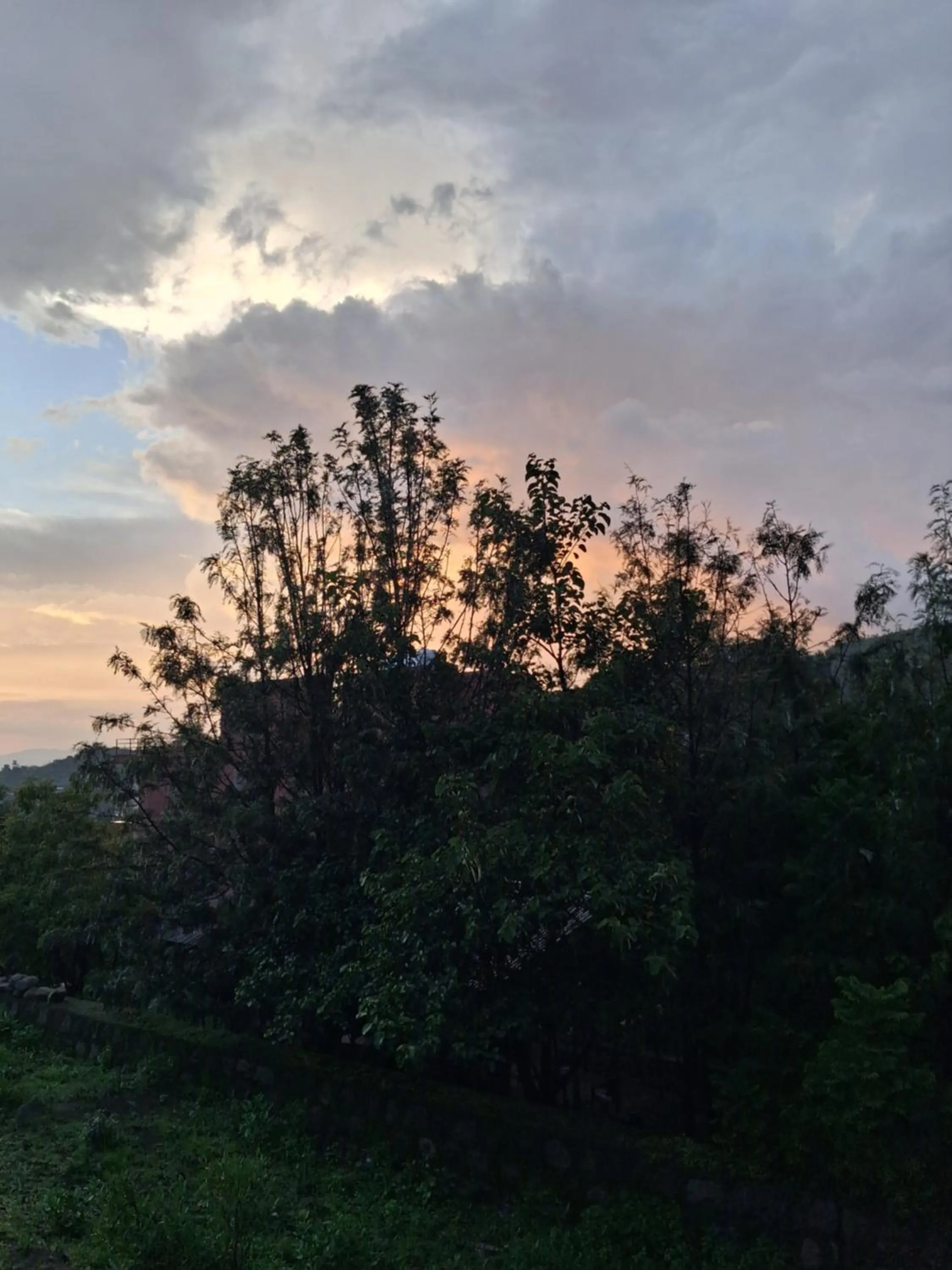 Natural landscape in Zan-Seyoum Hotel - Lalibela