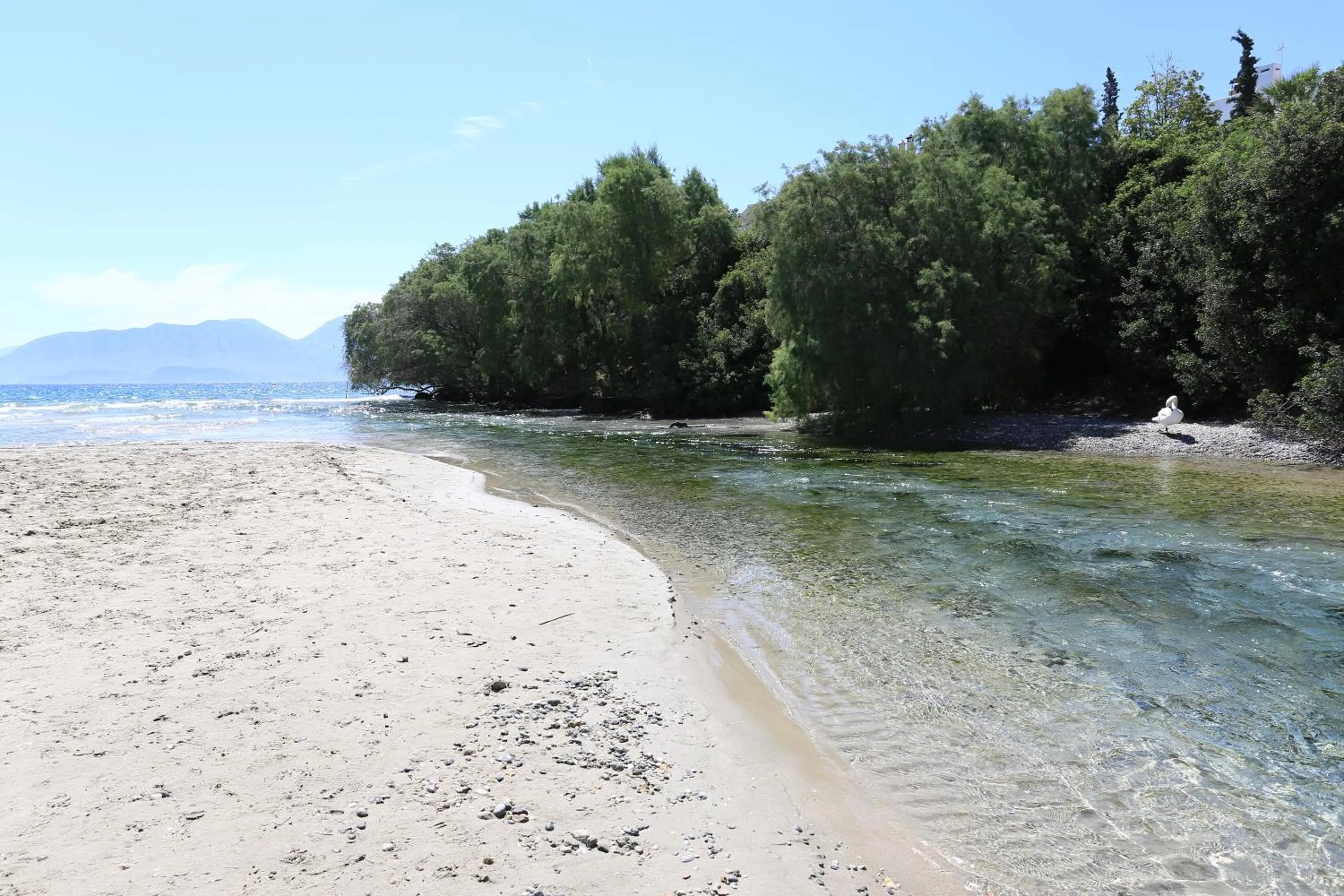 Beach in Blu Acqua Hotel
