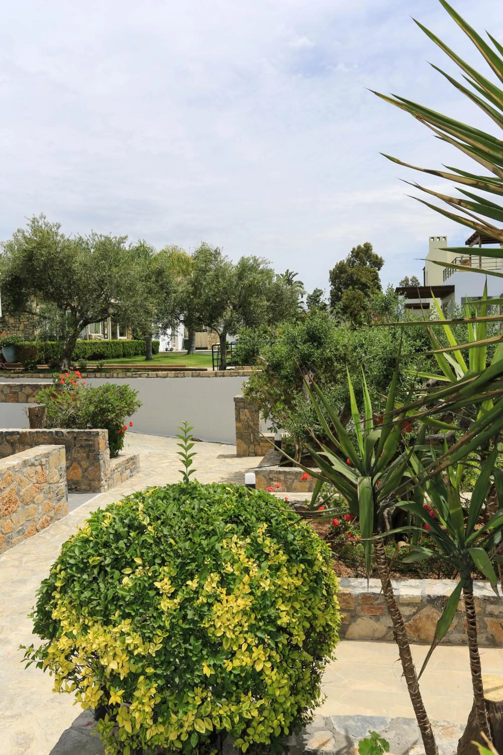 Garden in Blu Acqua Hotel