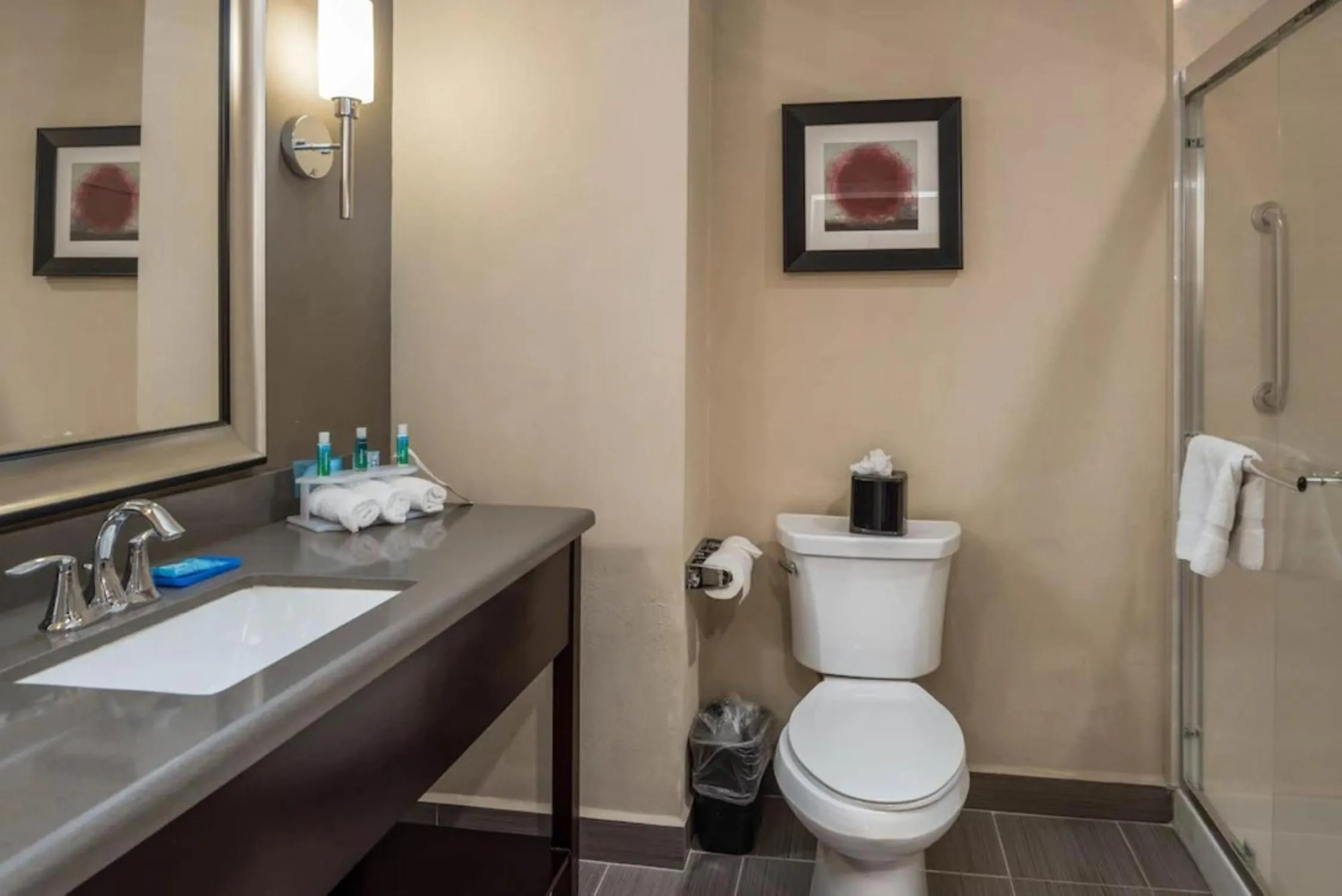 Bathroom in Holiday Inn Express & Suites Lantana by IHG
