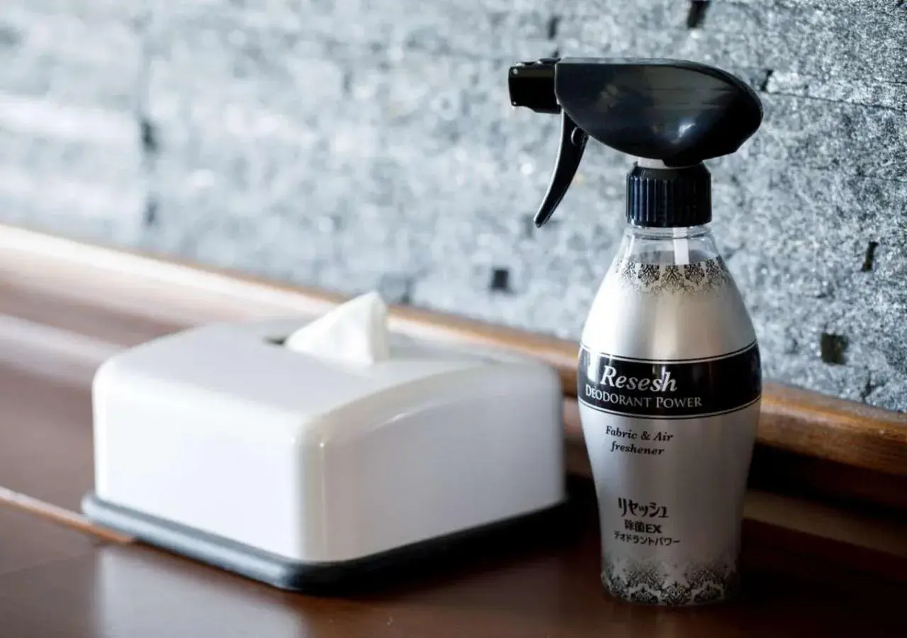 Standard Queen Room - single occupancy in ANA Holiday Inn Kanazawa Sky by IHG Standard Queen Room - single occupancy in ANA Holiday Inn Kanazawa Sky by IHG