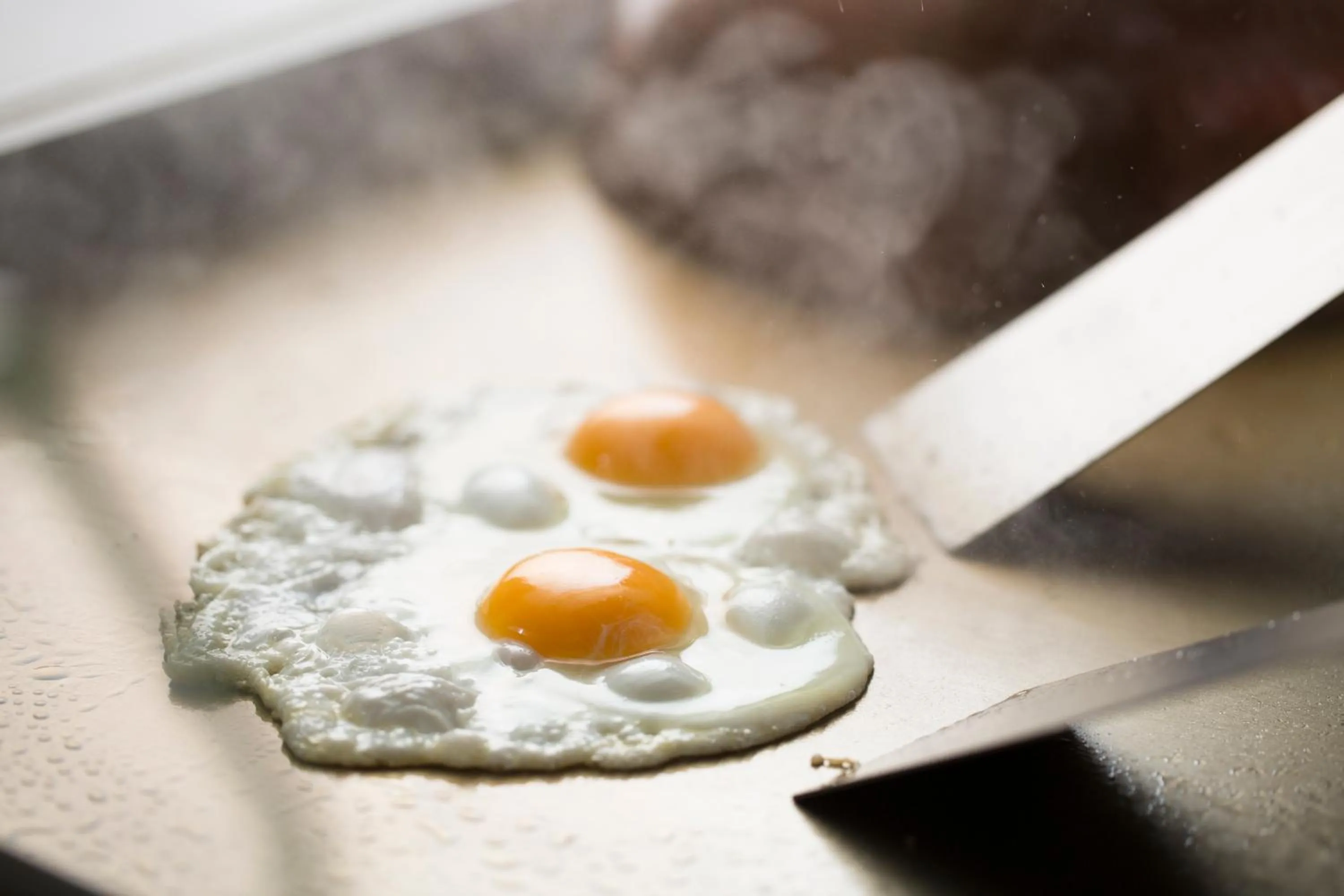 Food and drinks in ANA Holiday Inn Kanazawa Sky by IHG