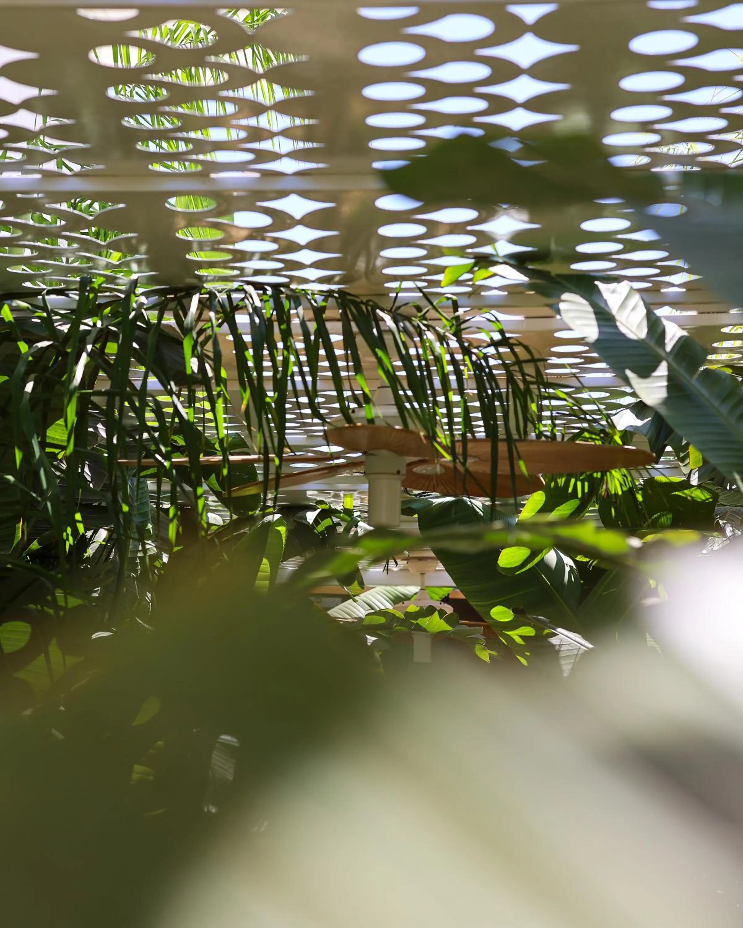 Natural landscape in Voger Alaçatı Prive