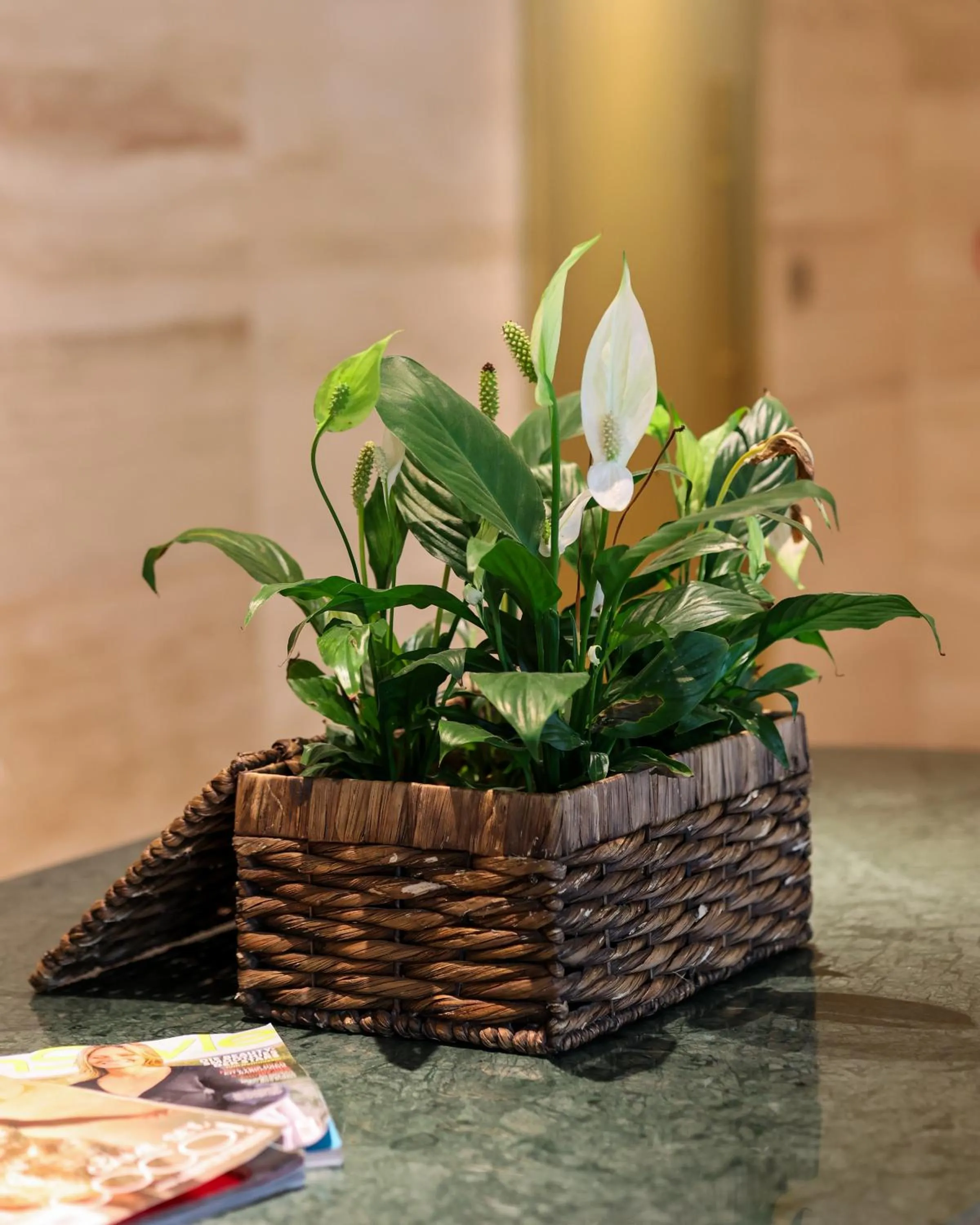 Decorative detail in The Xon Hotel