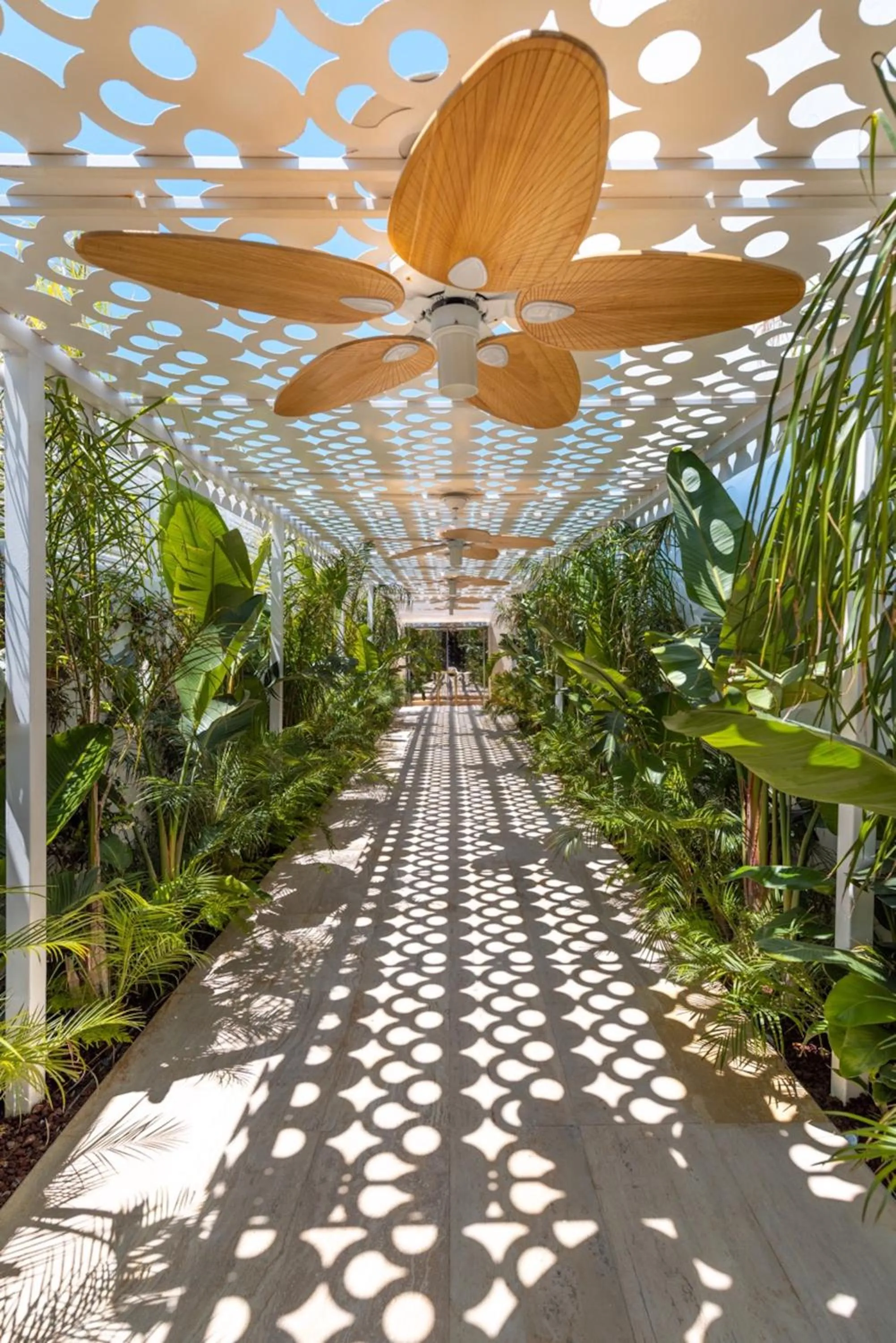 Garden view in The Xon Hotel