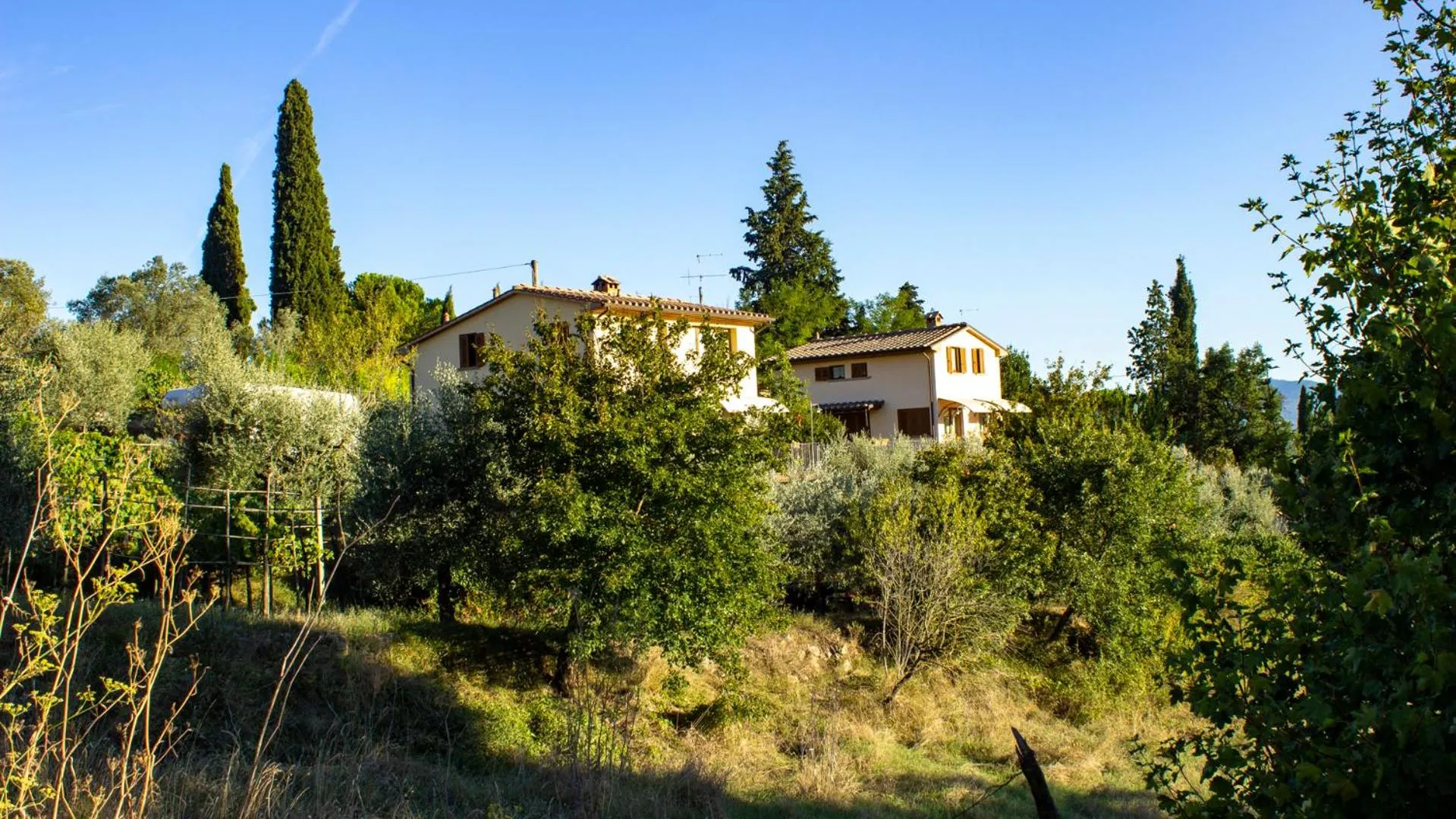 I 3 Cipressi