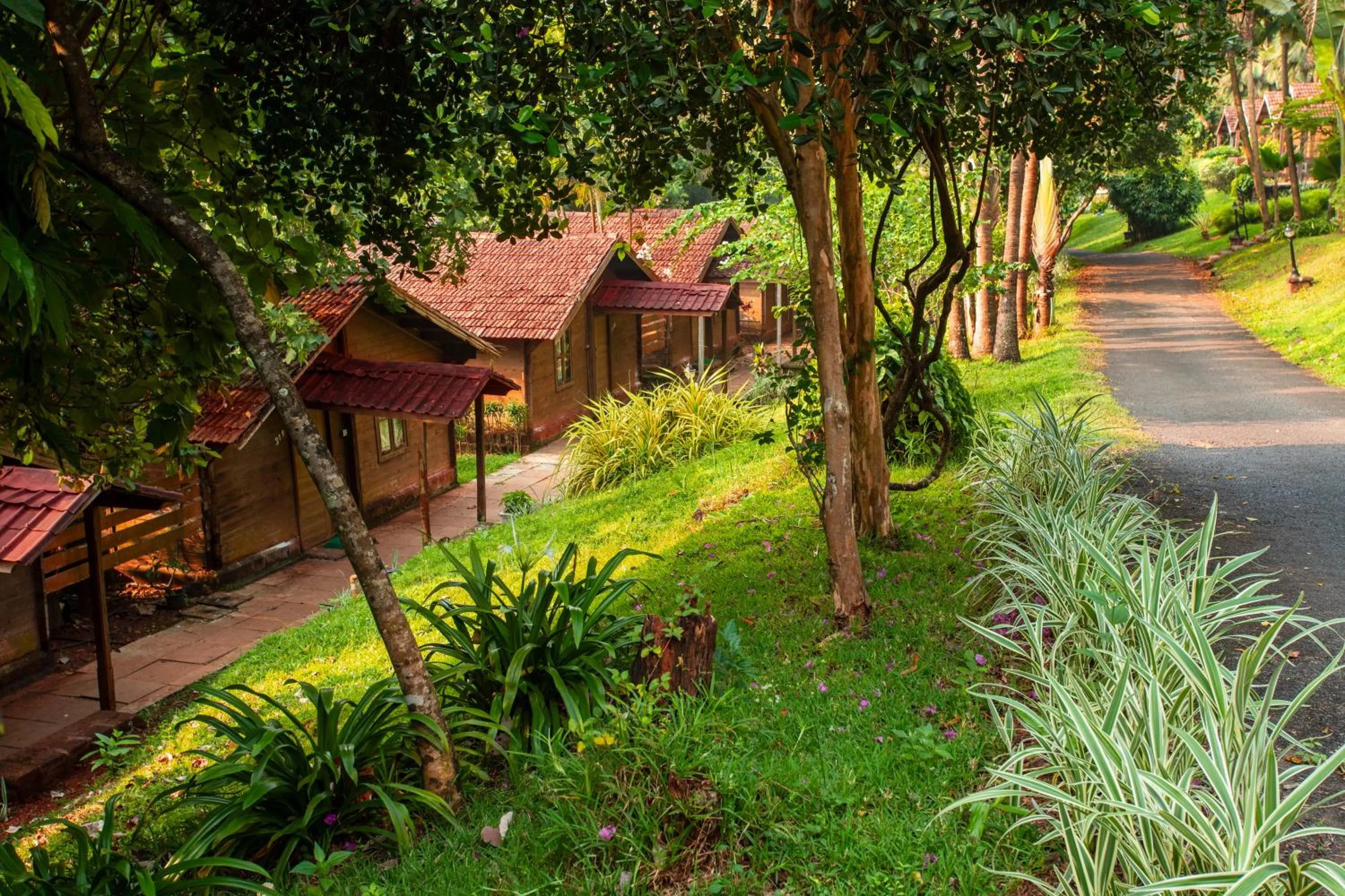 Garden view in Stone Water Eco Resort