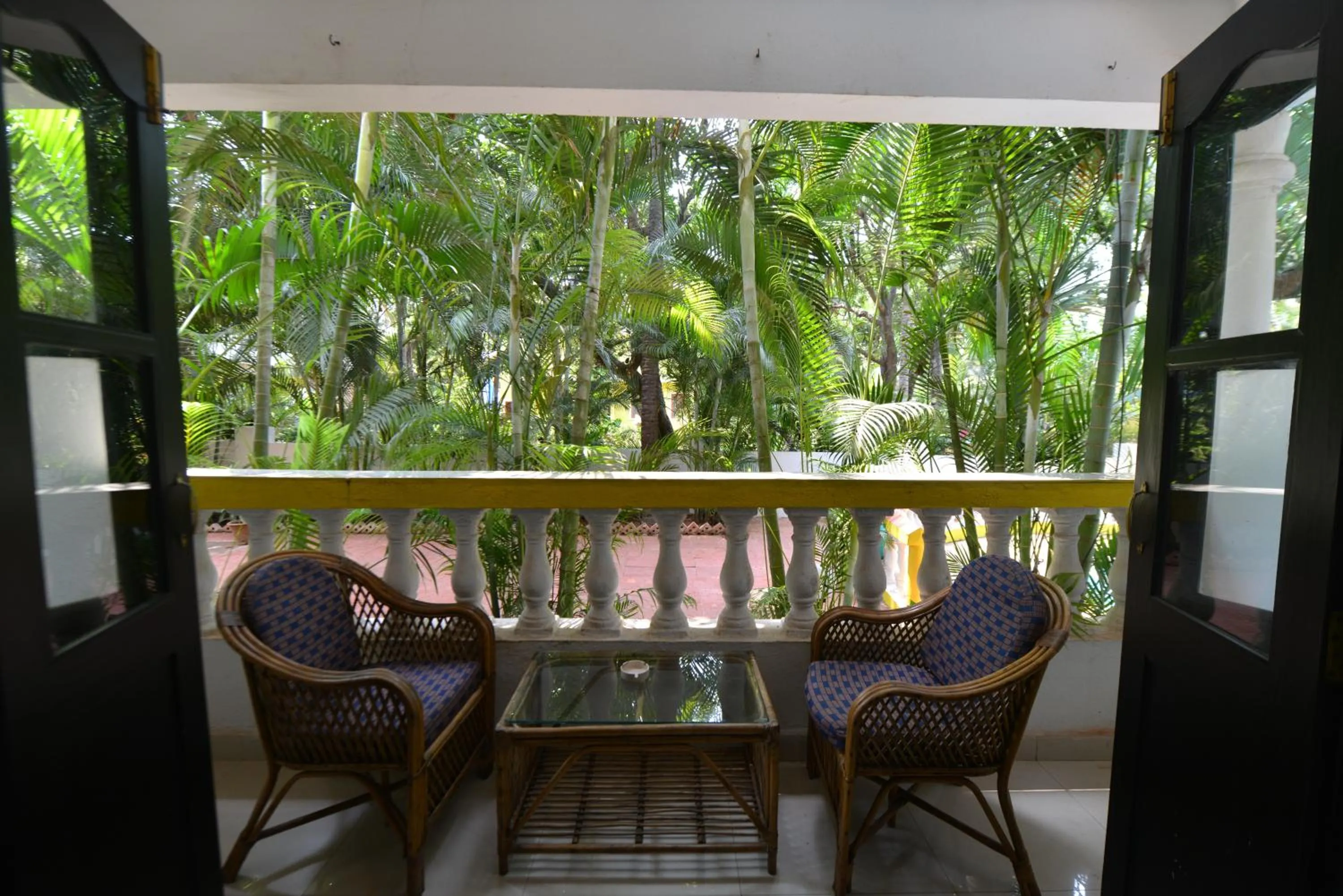 Garden in Silver Sands Sunshine - Angaara