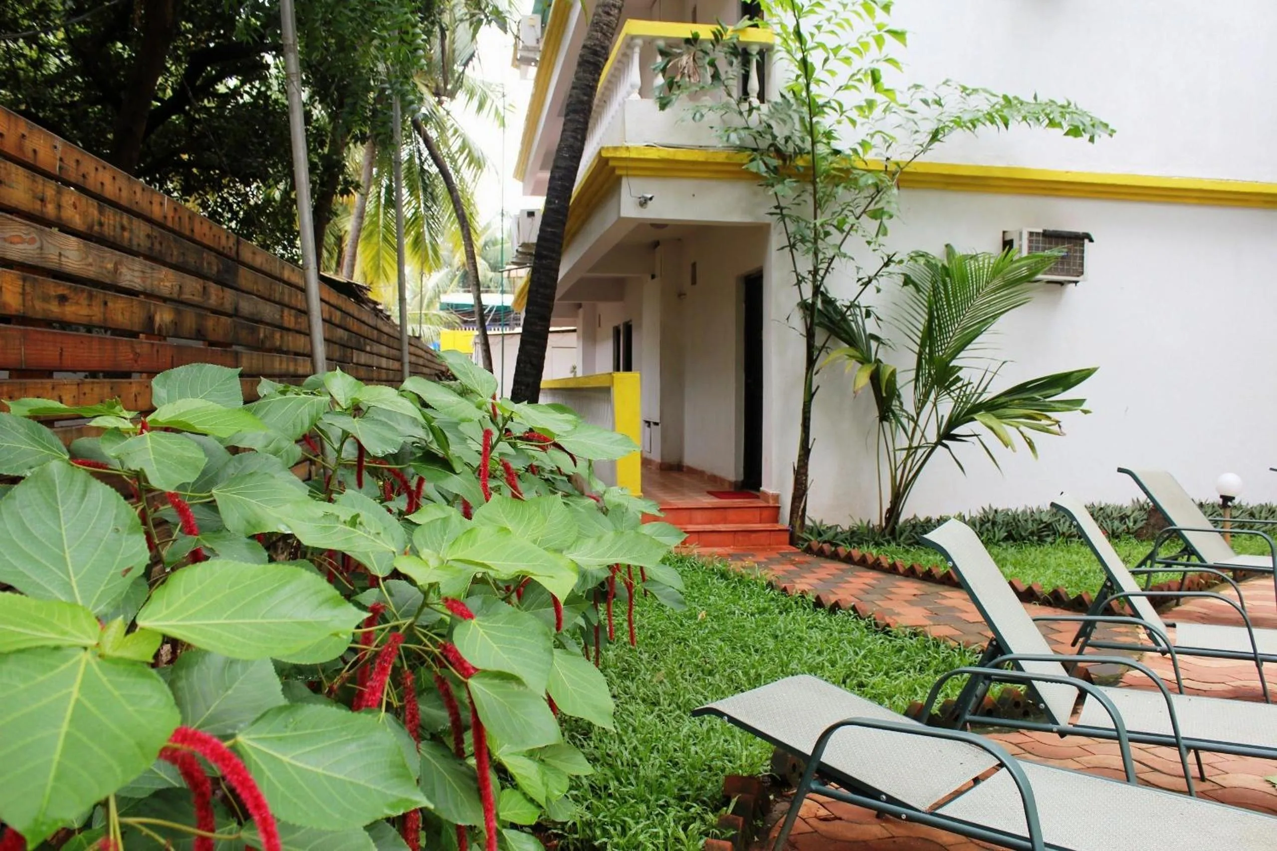 Garden in Silver Sands Sunshine - Angaara