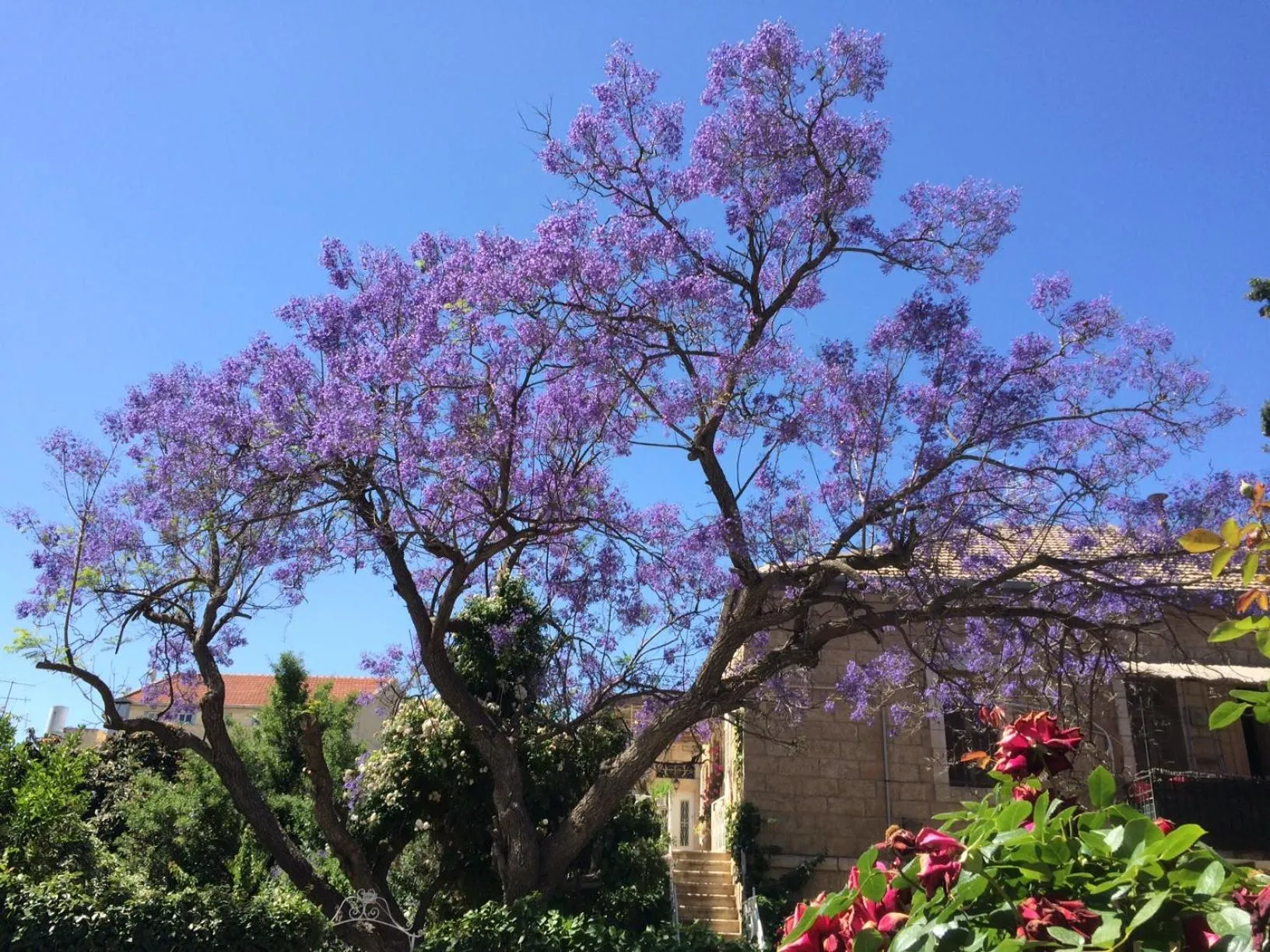 Spring in Rafael Residence Boutique