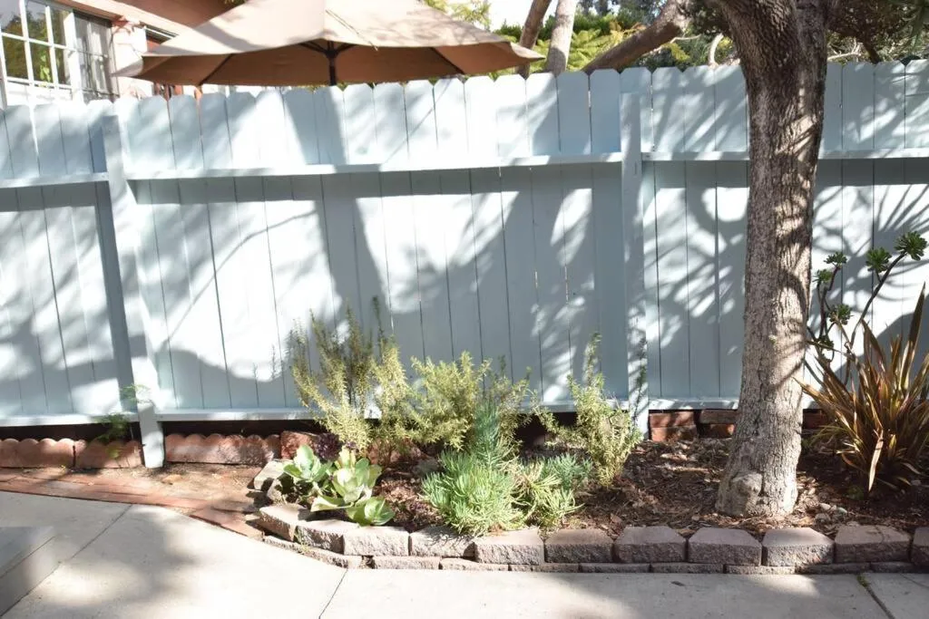 Garden in Villa by the Ocean in Venice Beach