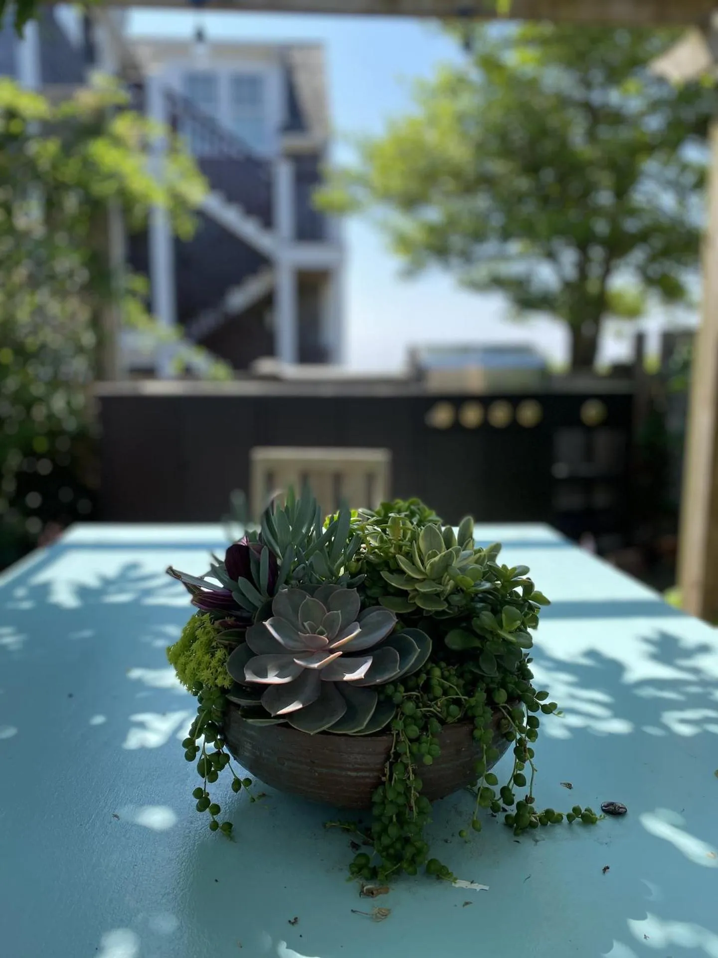 Property building in Martin House 157