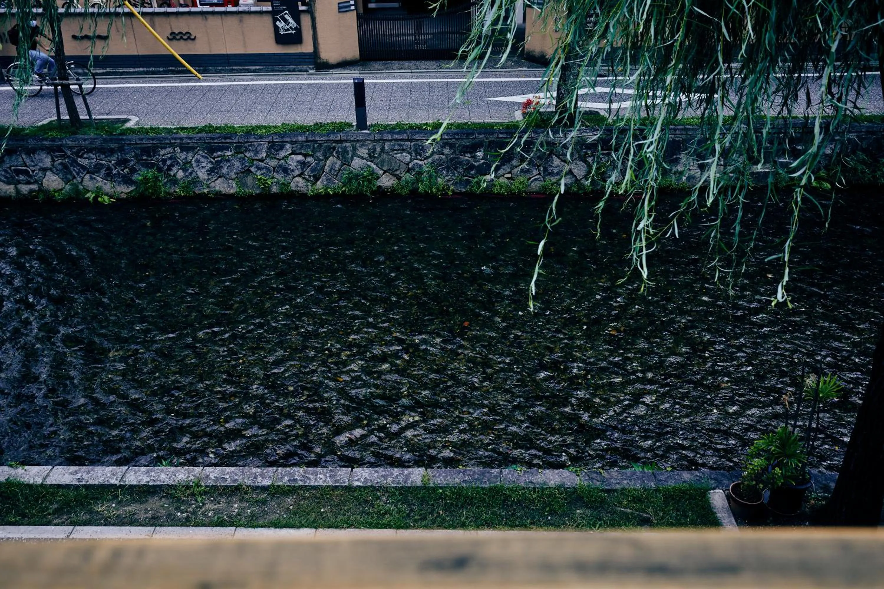 Spring in ANJIN Gion Shirakawa