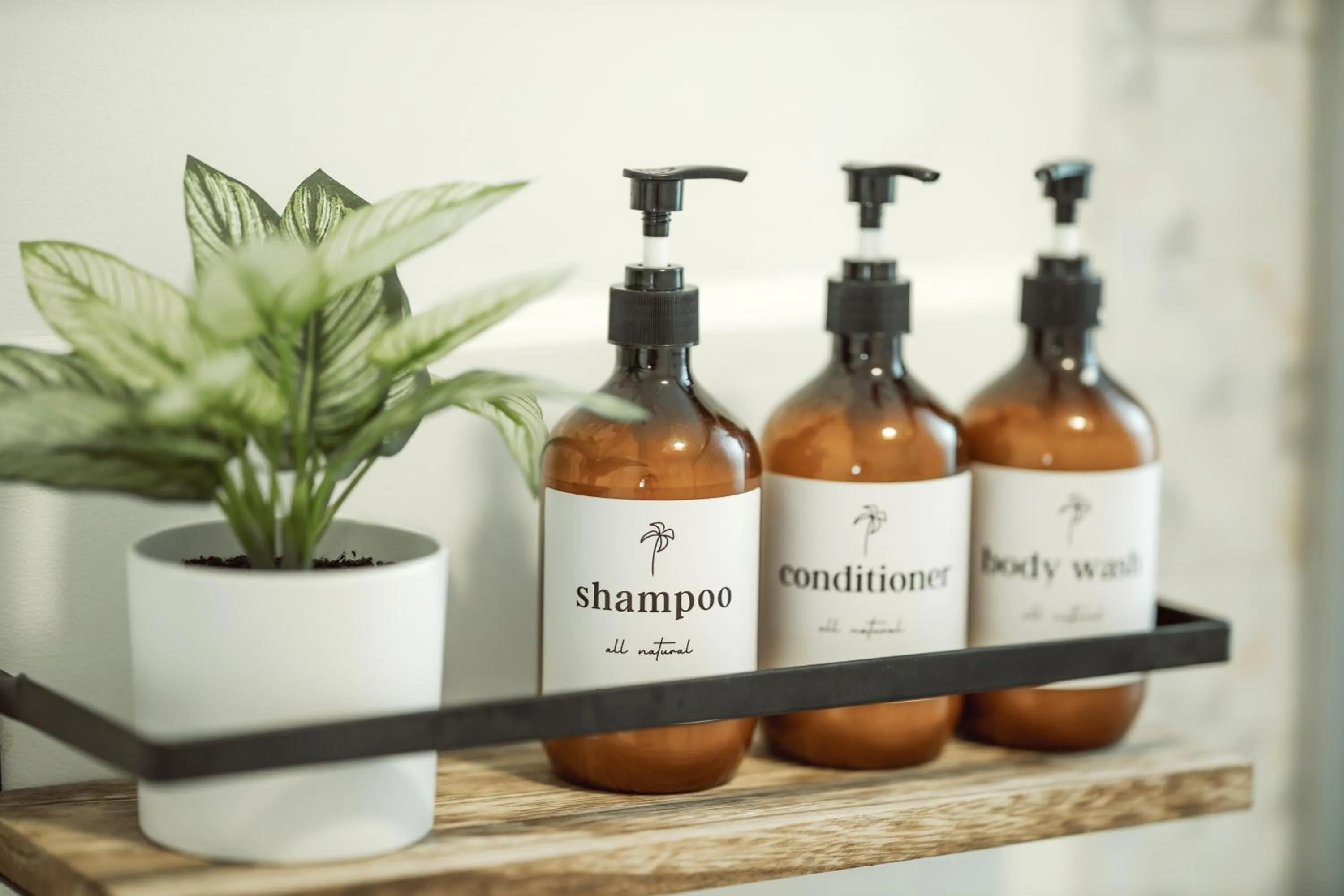 Blvd Sunset, a spot to relax