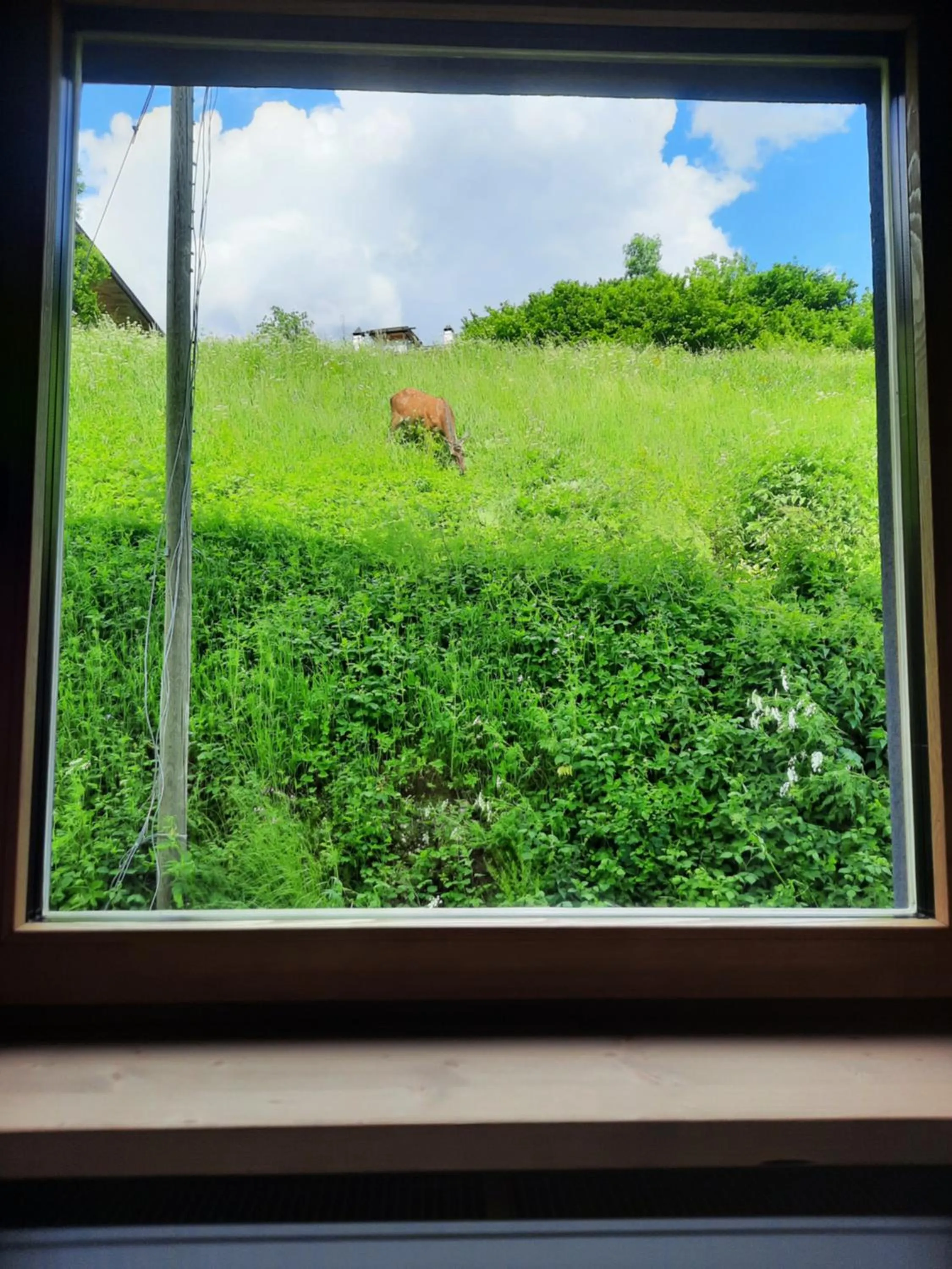 Natural landscape in Ama Dolomiti - Residence