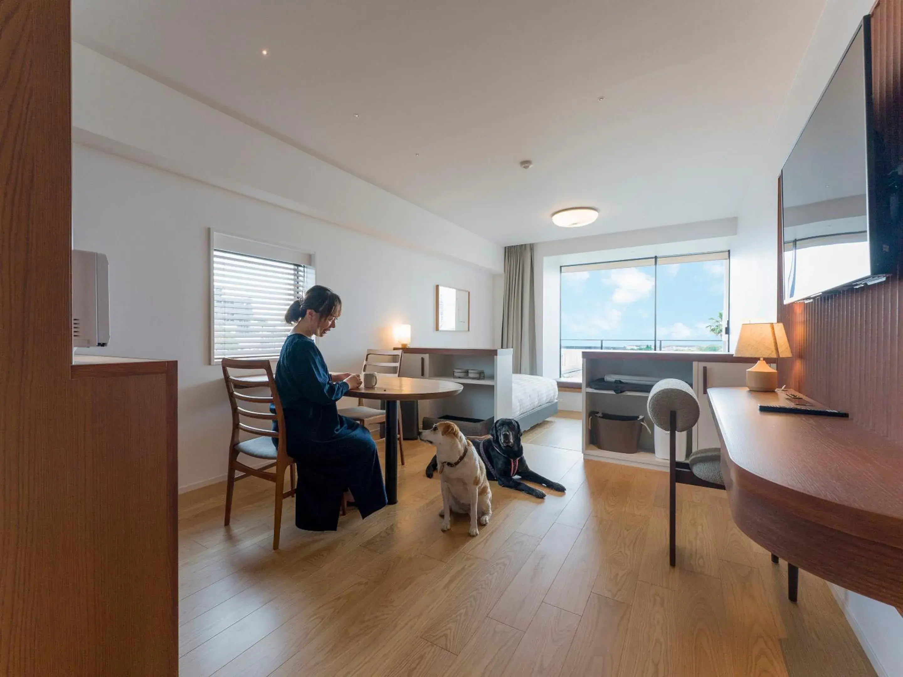 Twin Room, Dog friendly, 1off-site parking lot in Rakuten STAY Atami Twin Room, Dog friendly, 1off-site parking lot in Rakuten STAY Atami