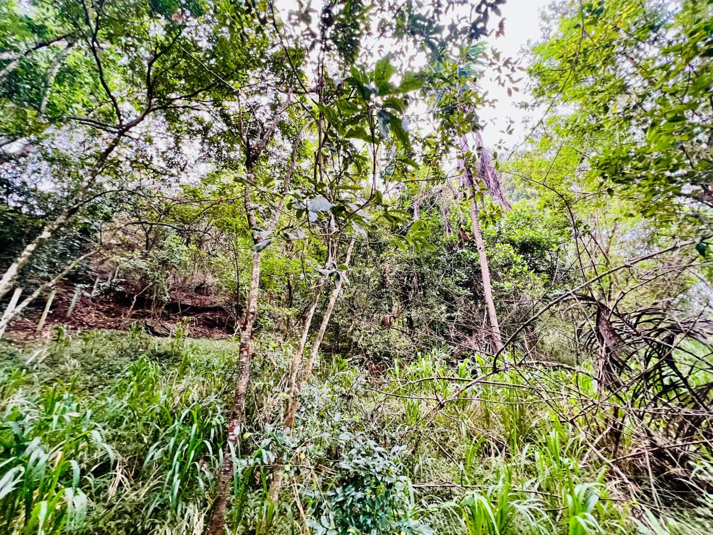 Hiking in Eco Resort Kandy