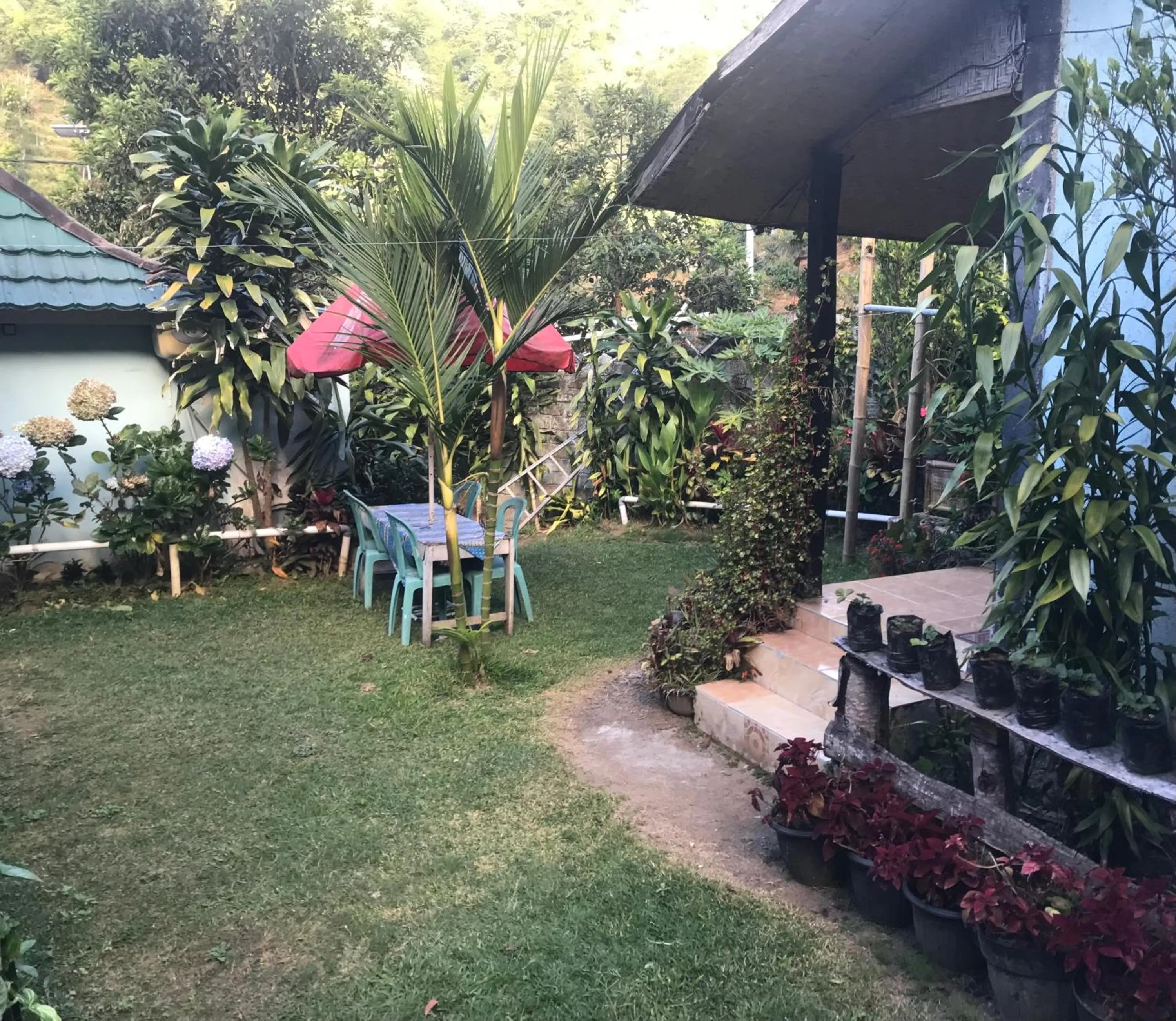 Garden view in Bungalow Paer Doe