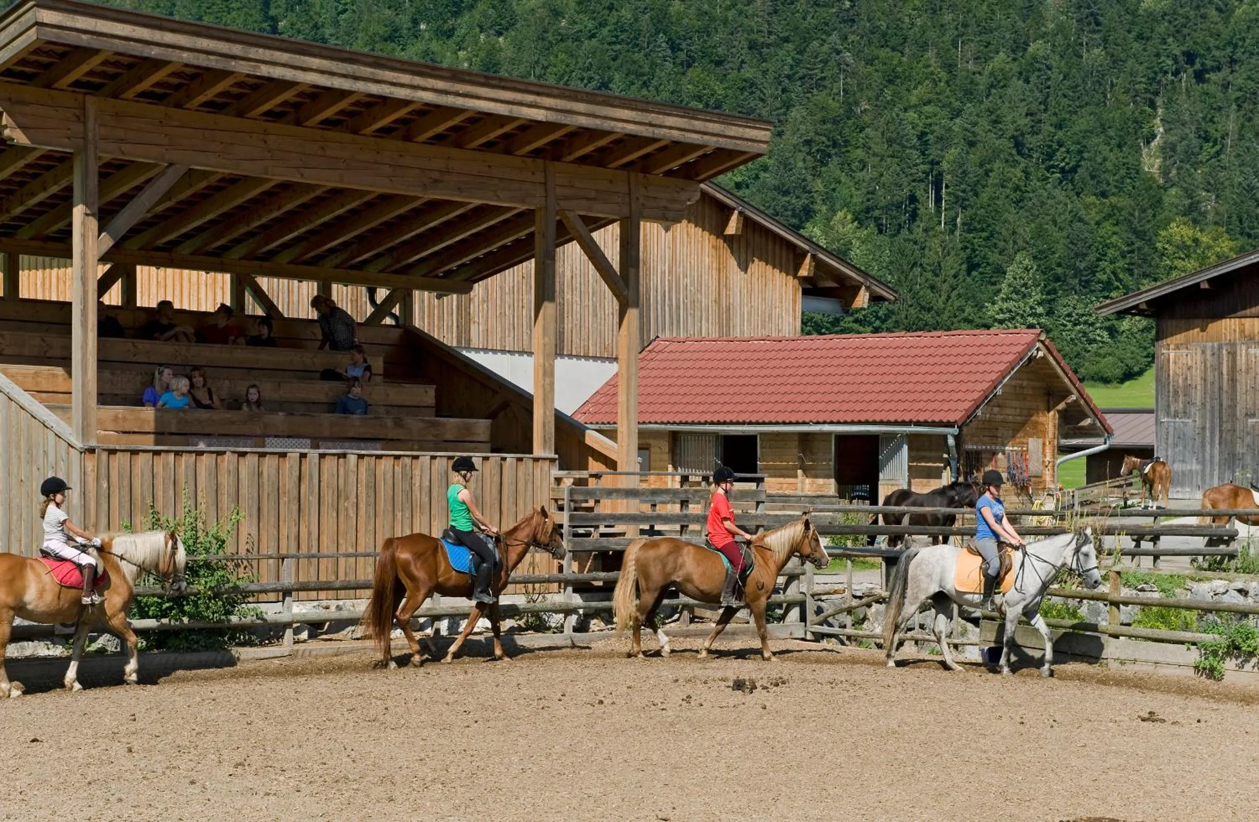 Horse-riding in Gasthaus Mitterjager