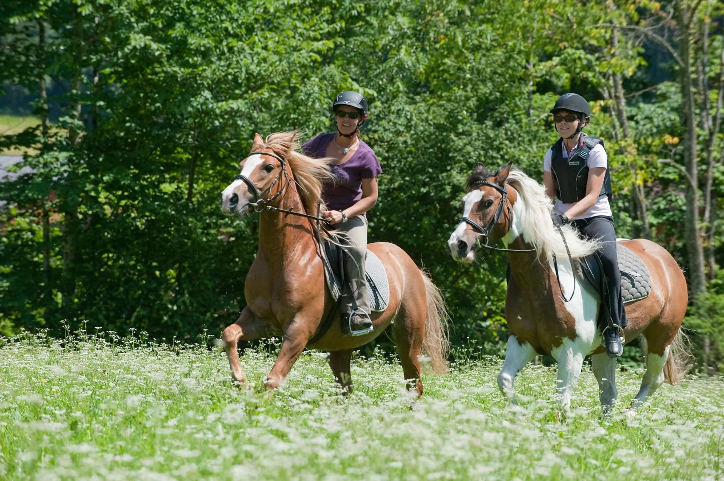 Horse-riding in Gasthaus Mitterjager