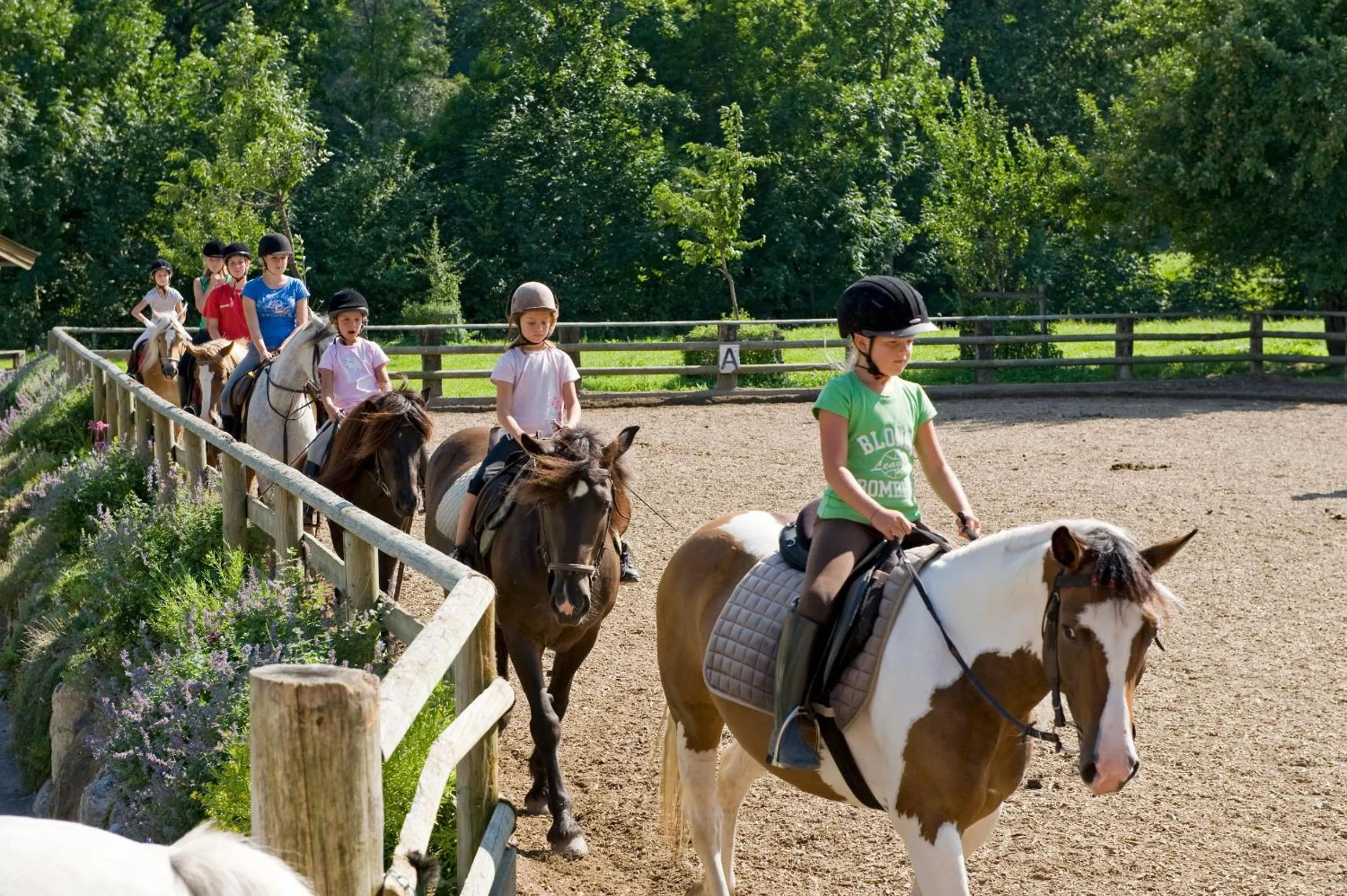 Horse-riding in Gasthaus Mitterjager