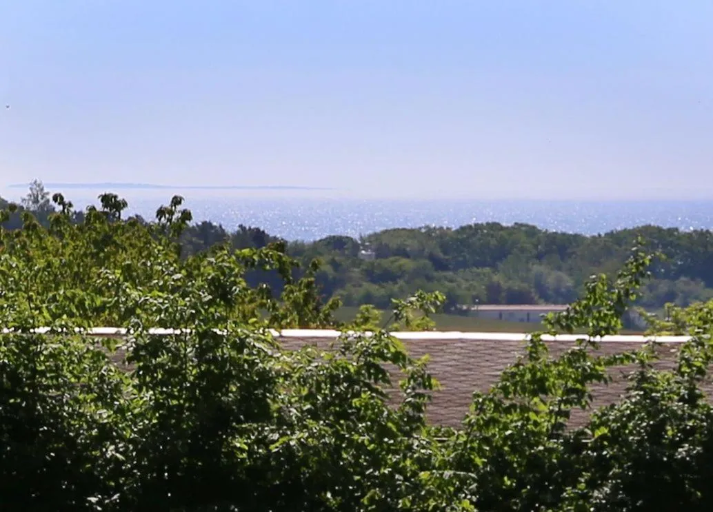 View (from property/room) in Villa Tannenweg