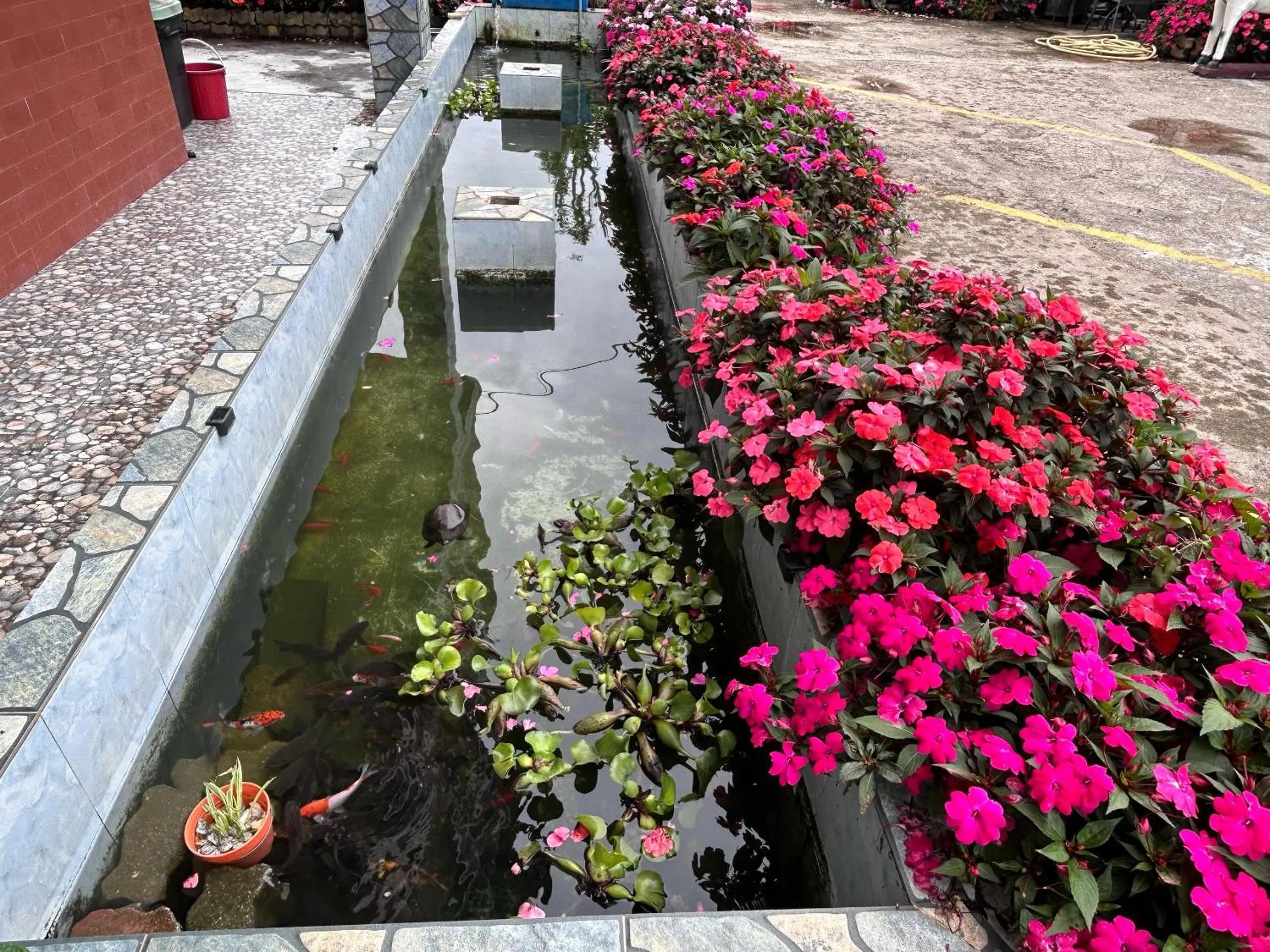 Tekoma Hotel Cameron Highlands