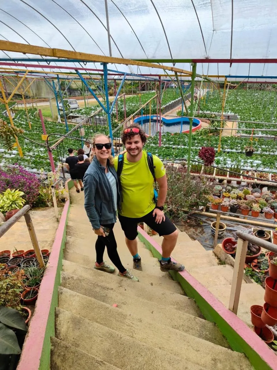 Tekoma Hotel Cameron Highlands