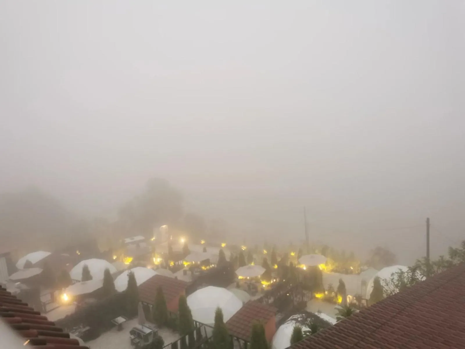 View (from property/room) in Tekoma Hotel Cameron Highlands