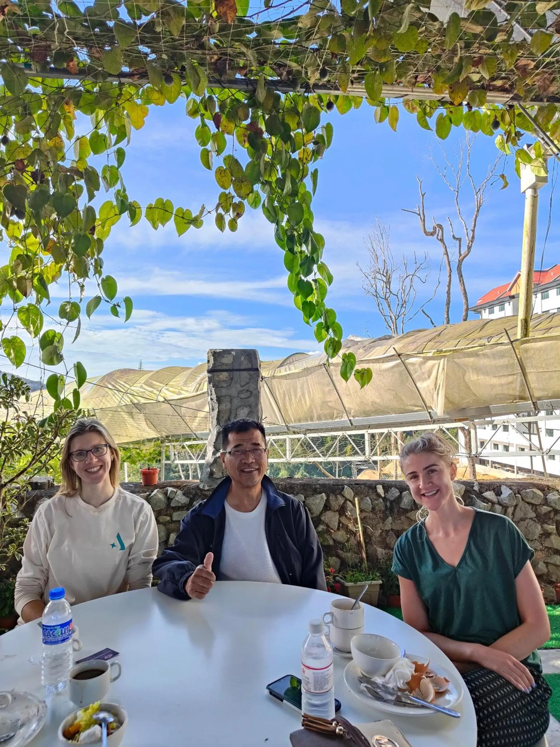 Restaurant/places to eat in Tekoma Hotel Cameron Highlands