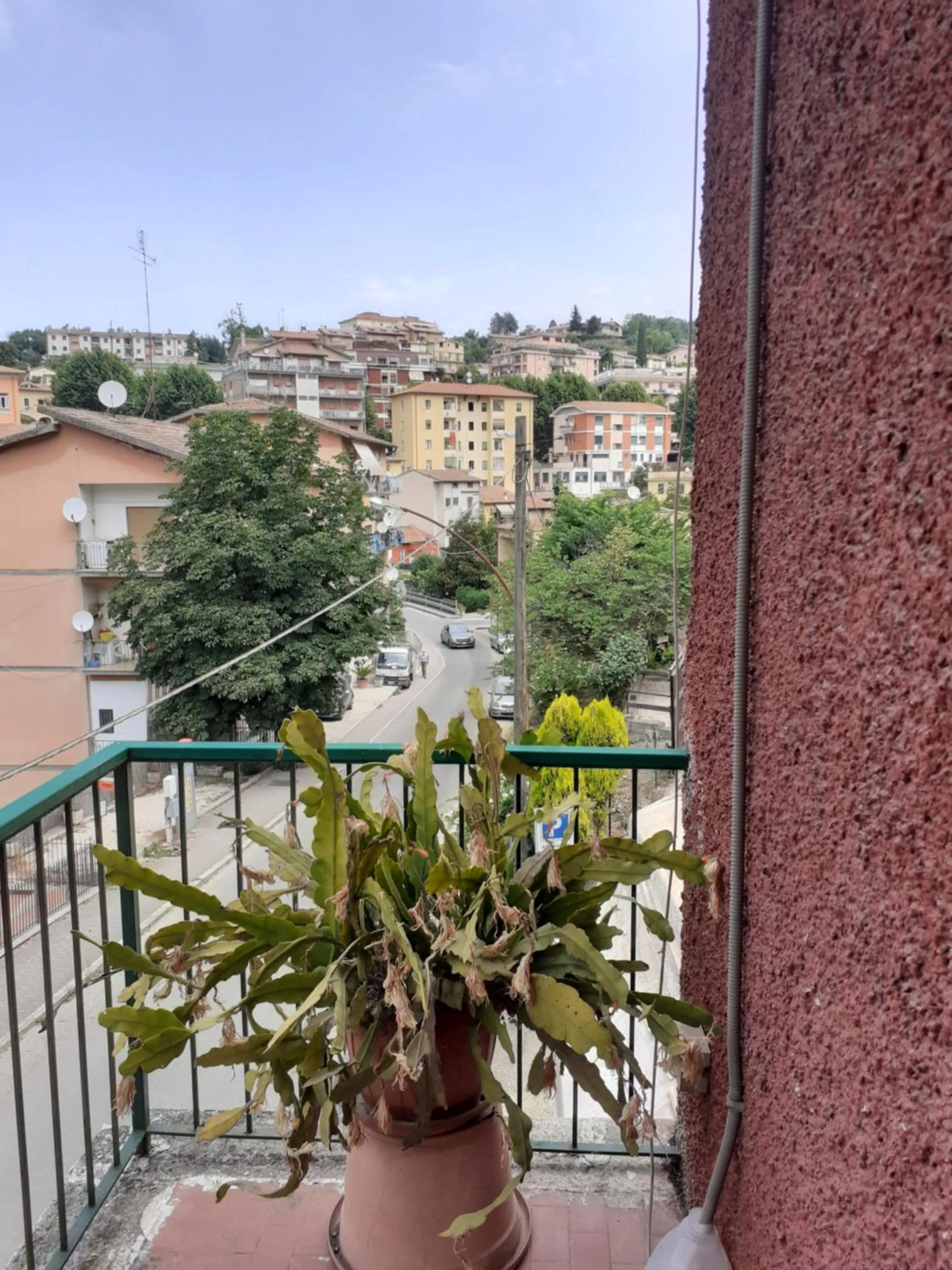 Balcony/Terrace in Albergo Da Peppino