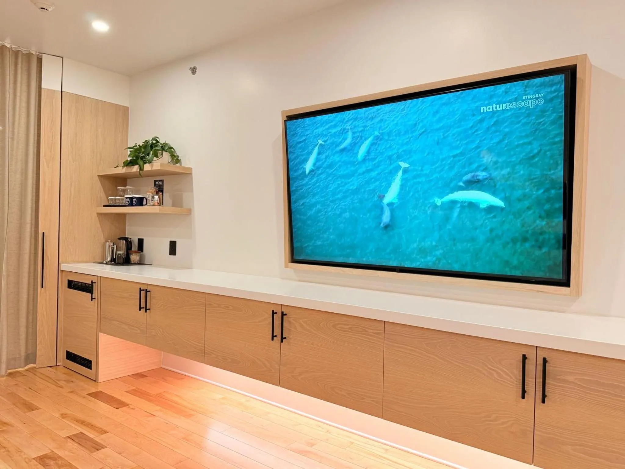 TV and multimedia in Cribs on Main