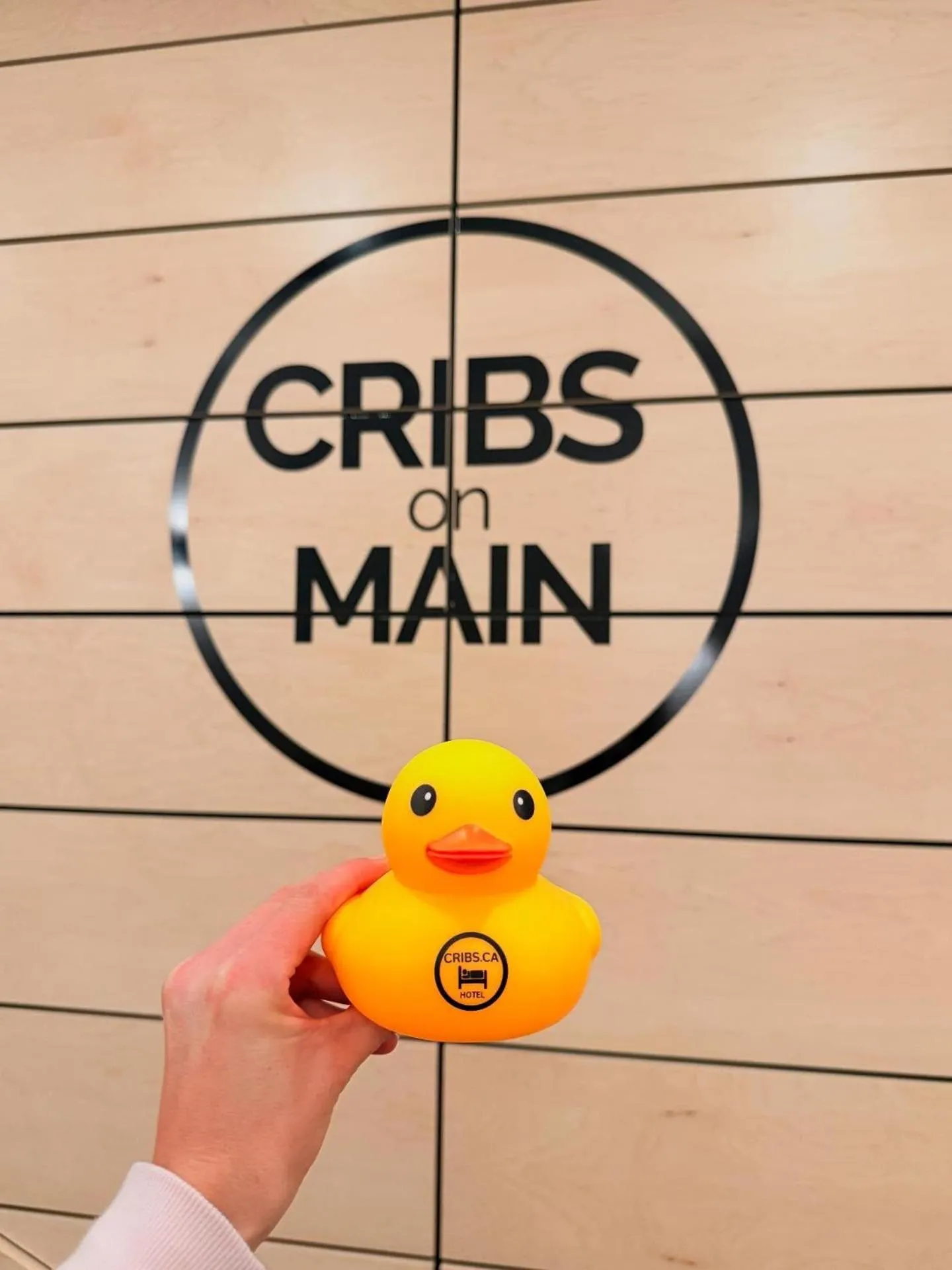 Property logo or sign in Cribs on Main