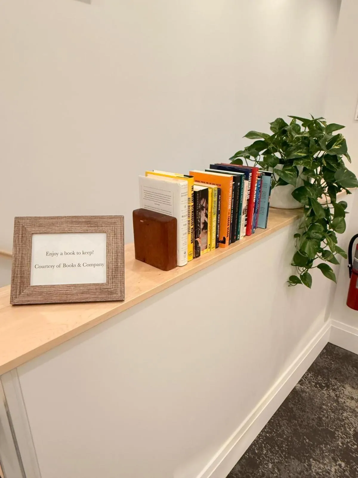 Library in Cribs on Main