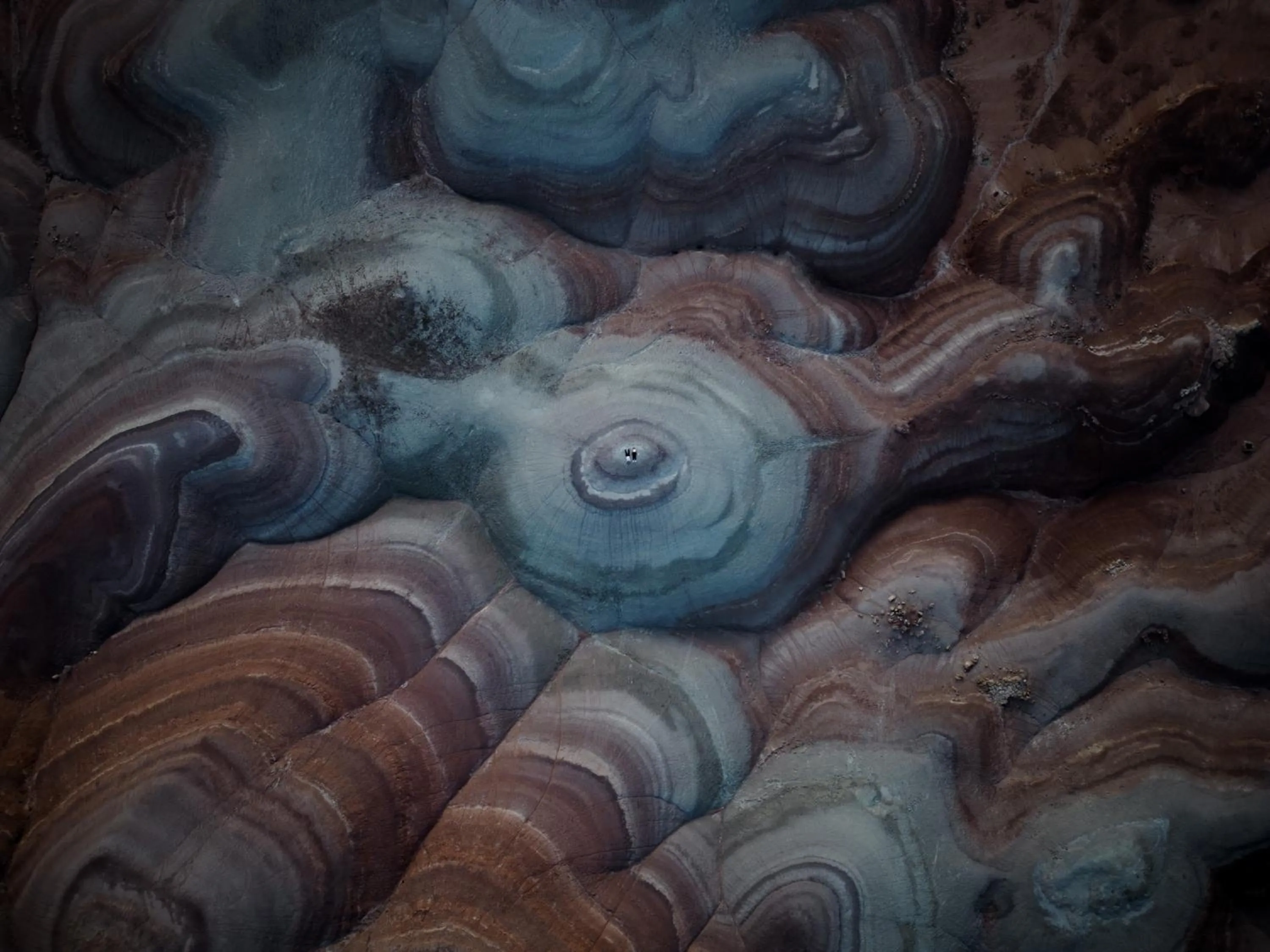 Hiking in Muddy Creek Mining Company