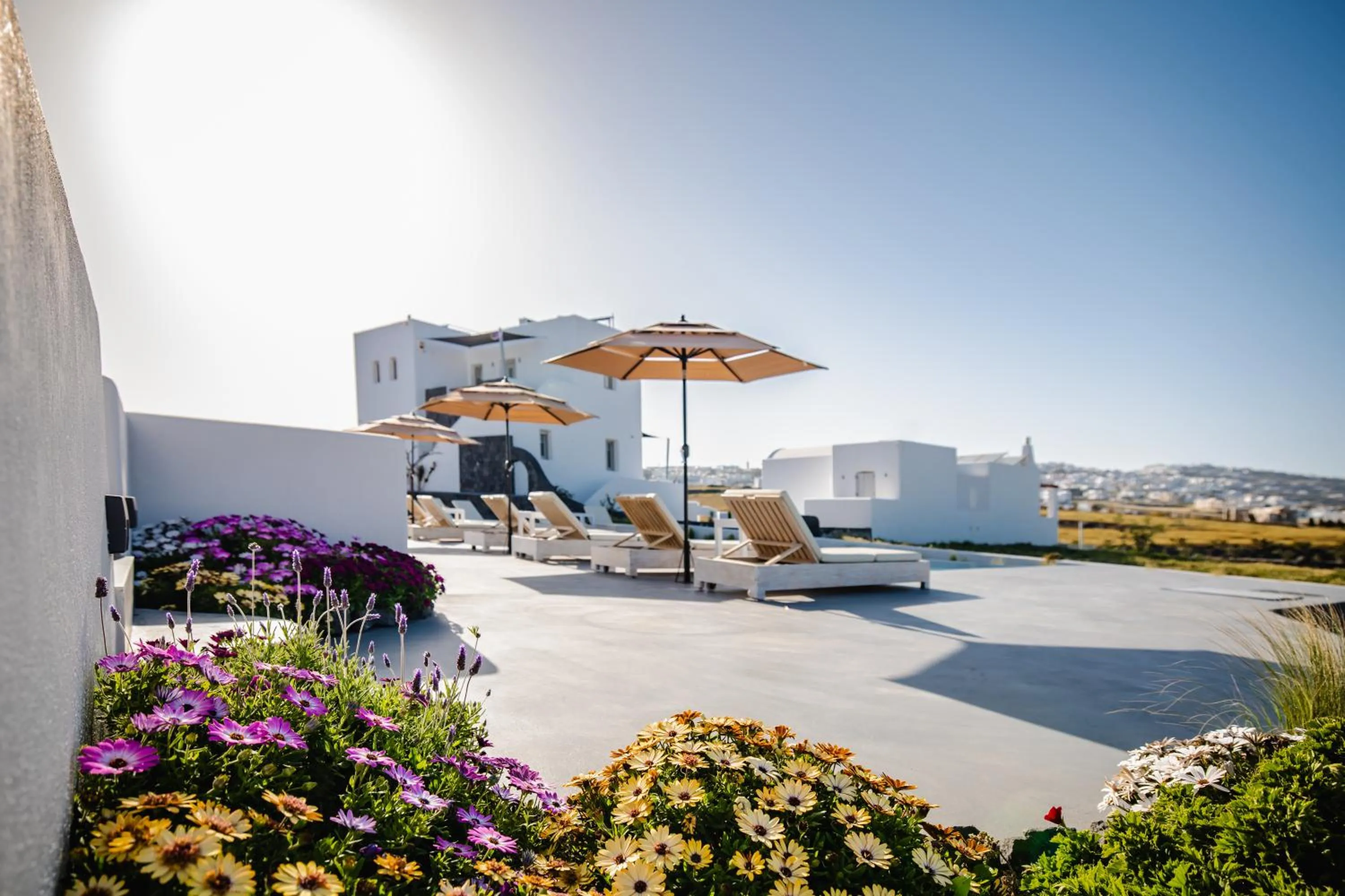 Swimming pool in Bonsai Luxury Suites
