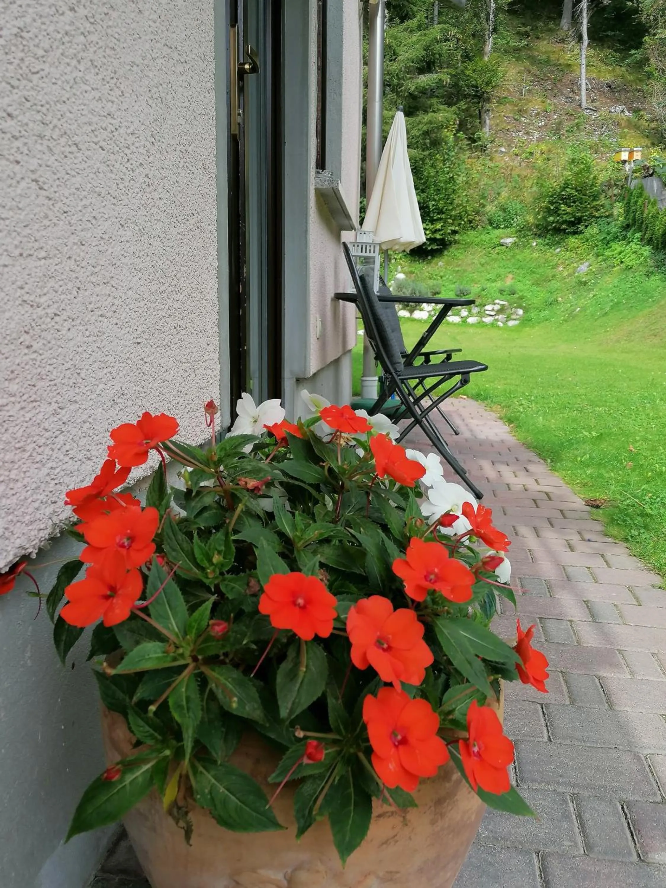 Apartments Mertelj