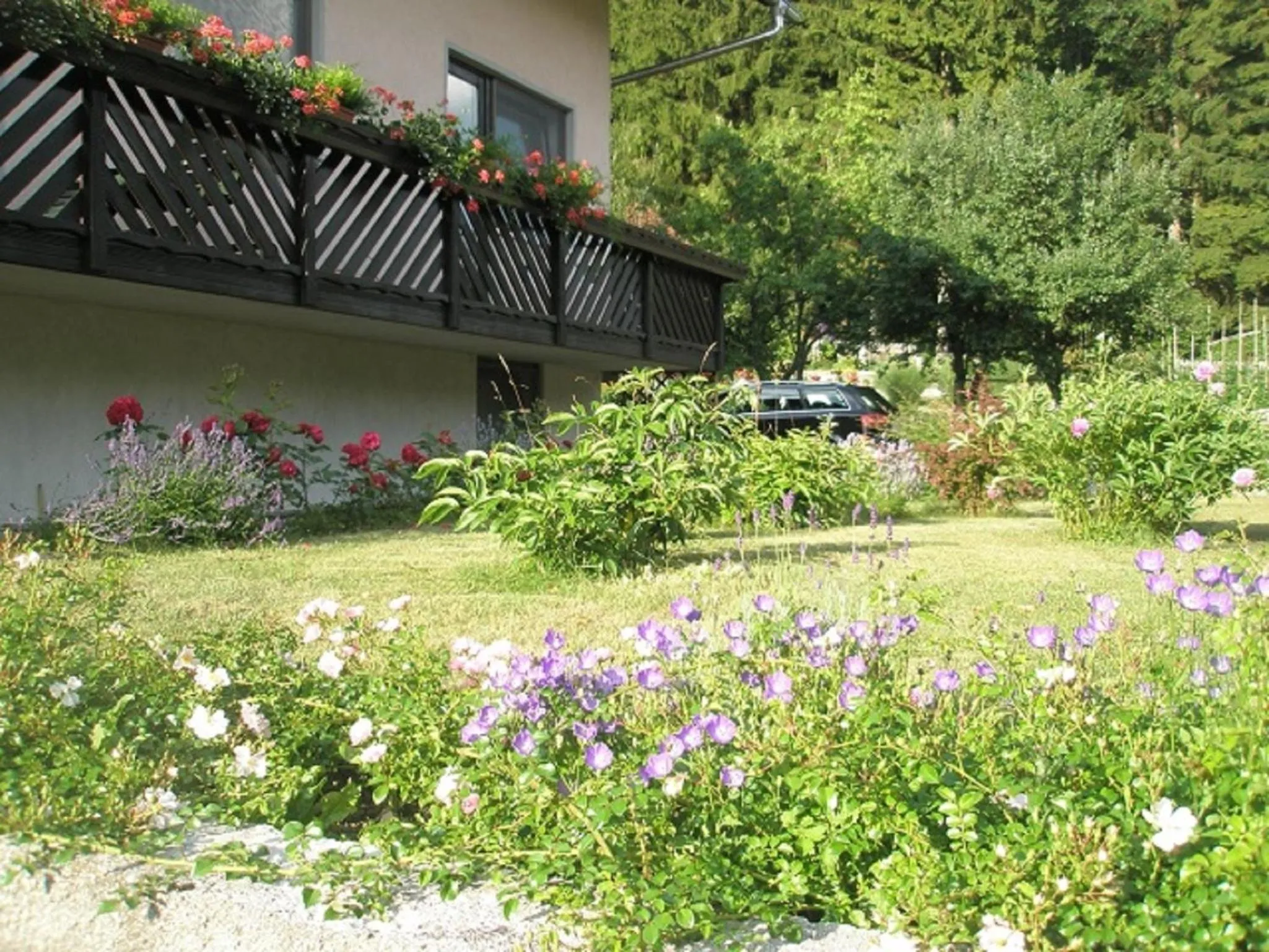 Facade/entrance in Apartments Mertelj