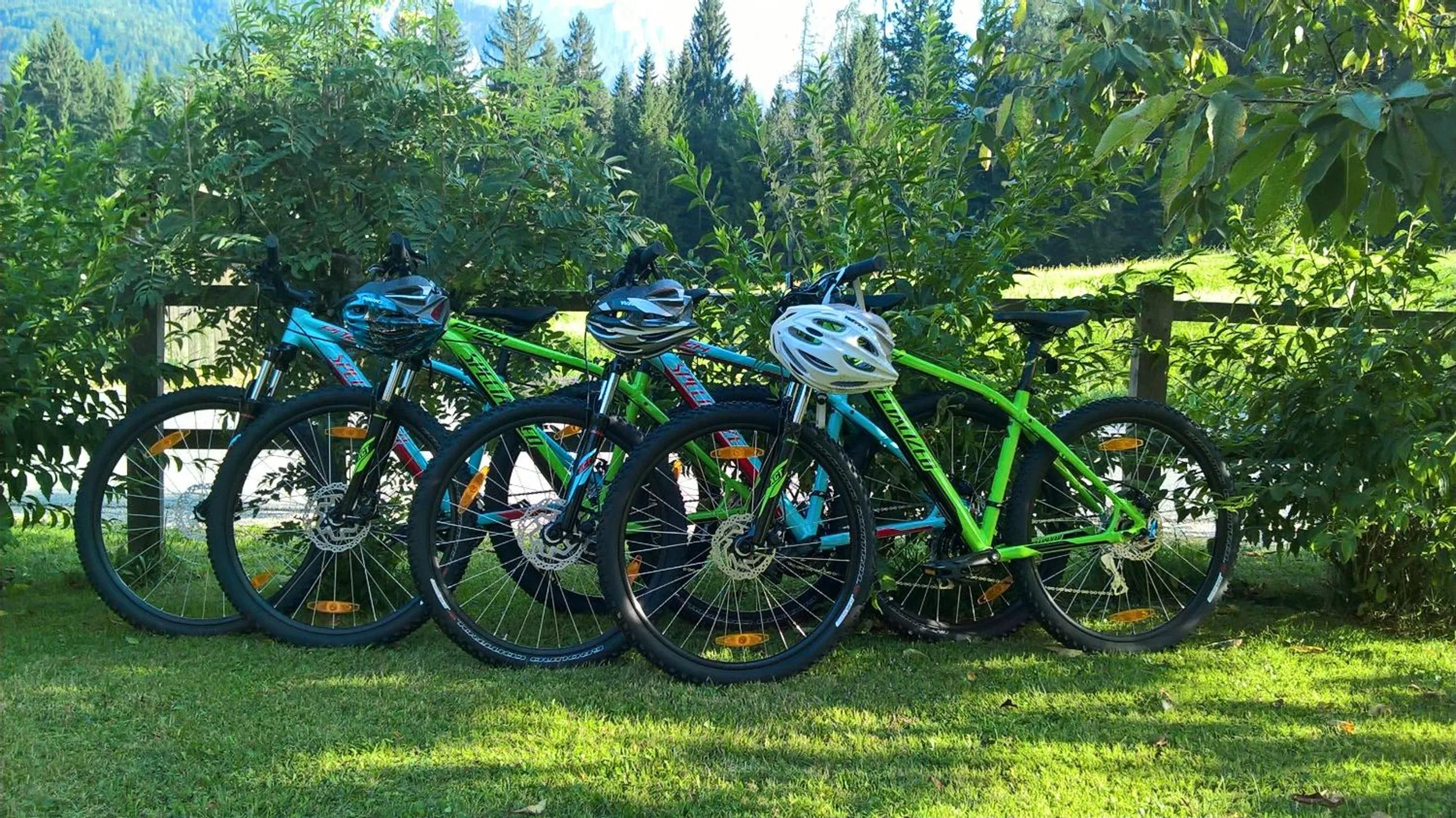 Cycling in Apartments Mertelj